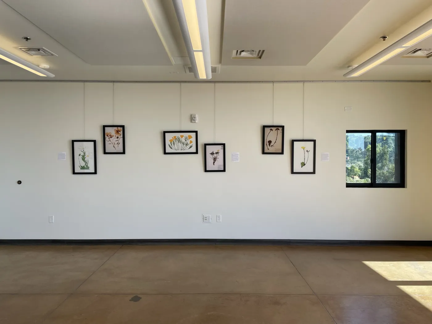 TEST Henry Evans Exhibit