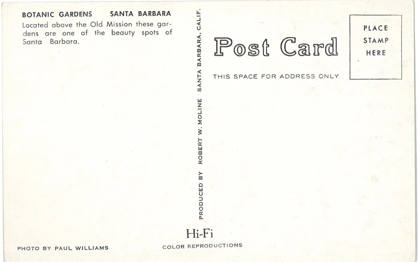 RS3120_verso.jpg