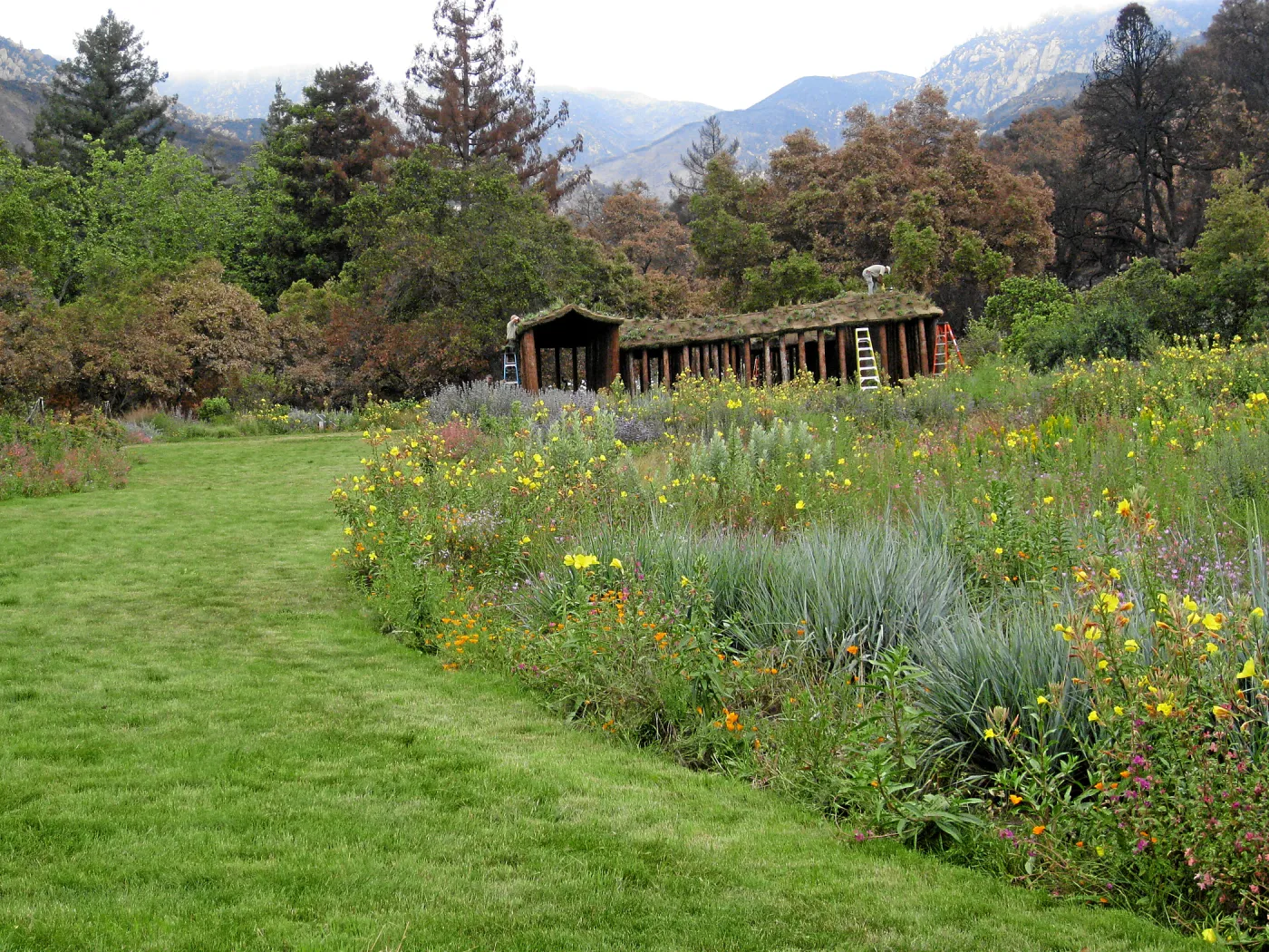 Roof of Herb Parker structure being planted after Jesusita Fire