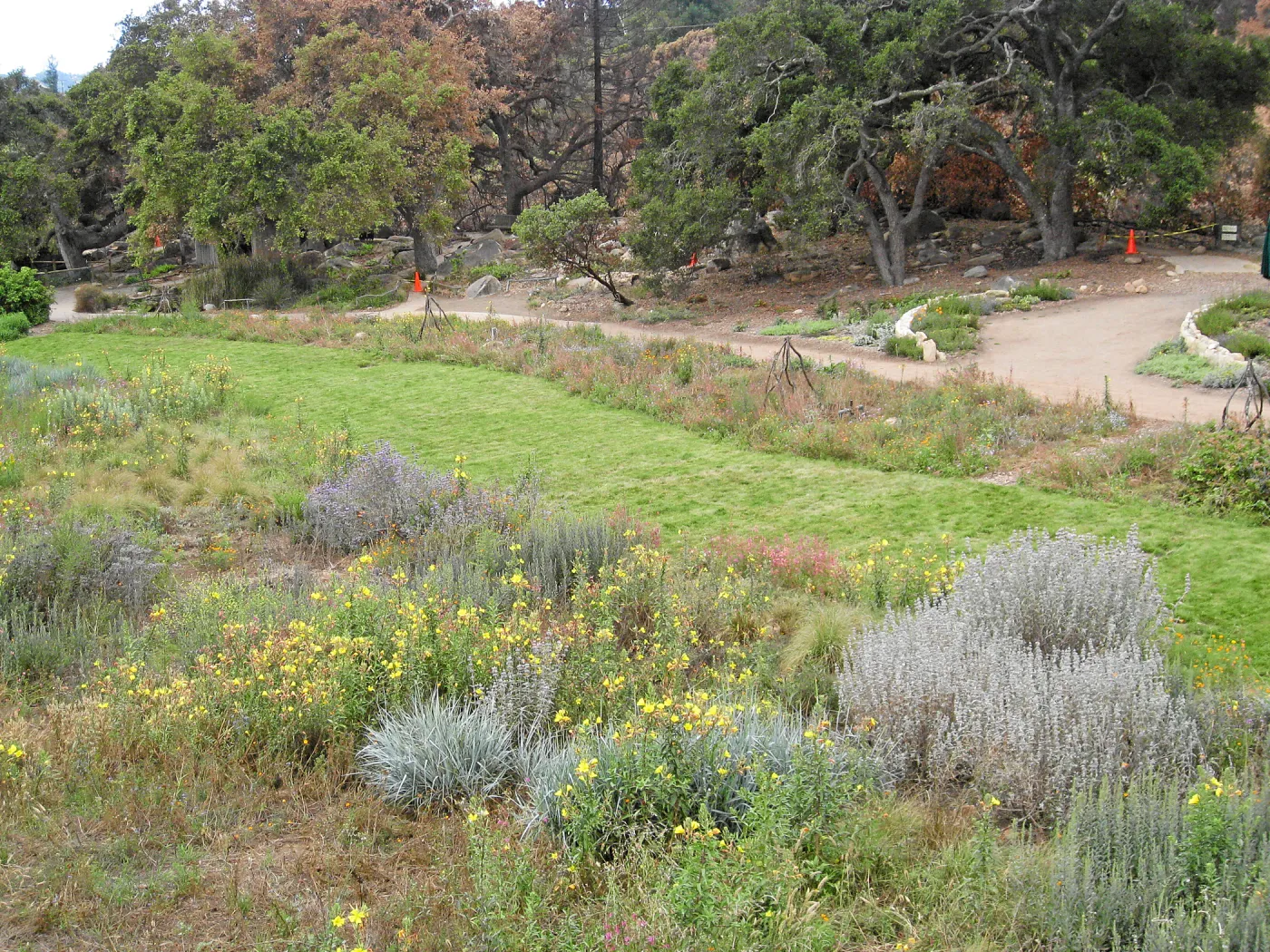 SBBG Meadow as seen from roof of Herb Parker structure