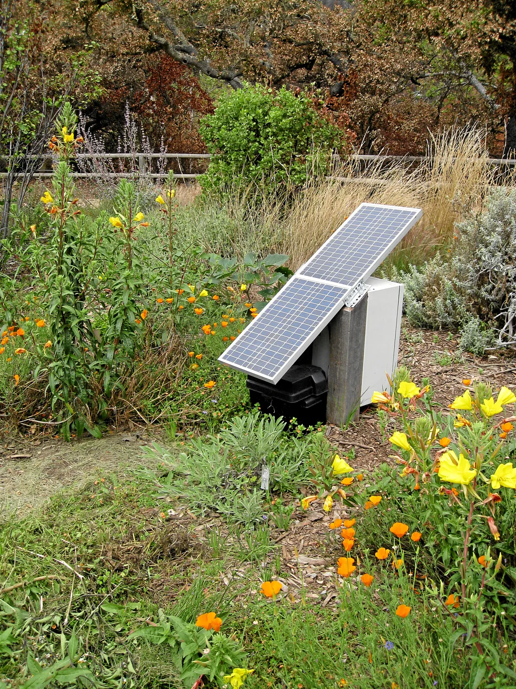 Irrigation controller at top of Meadow