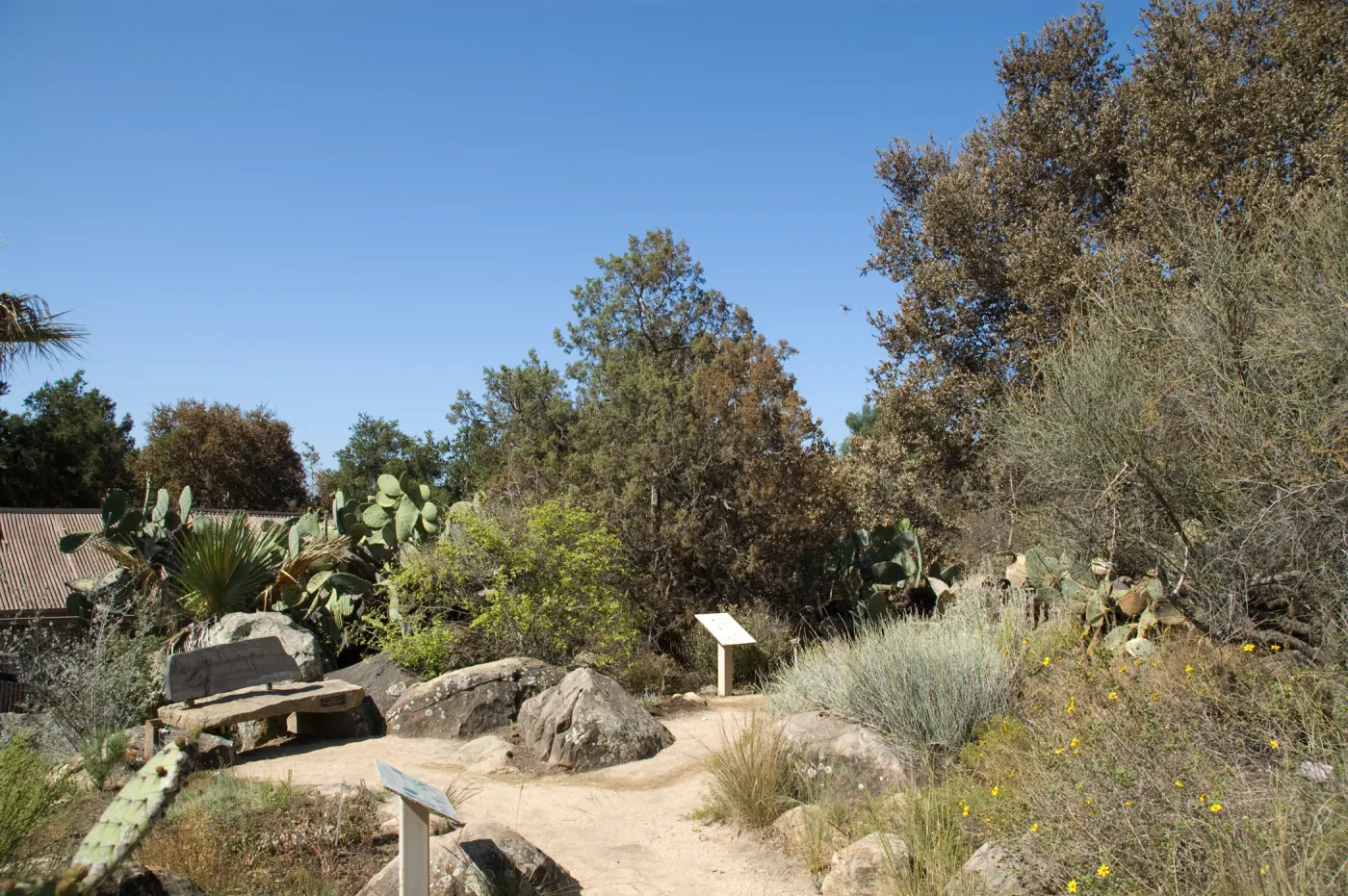 Desert Section, Santa Barbara Botanic Garden after the Jesusita Fire