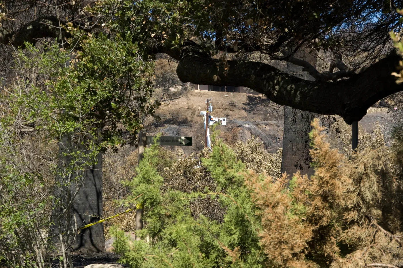 Santa Barbara Botanic Garden after the Jesusita Fire