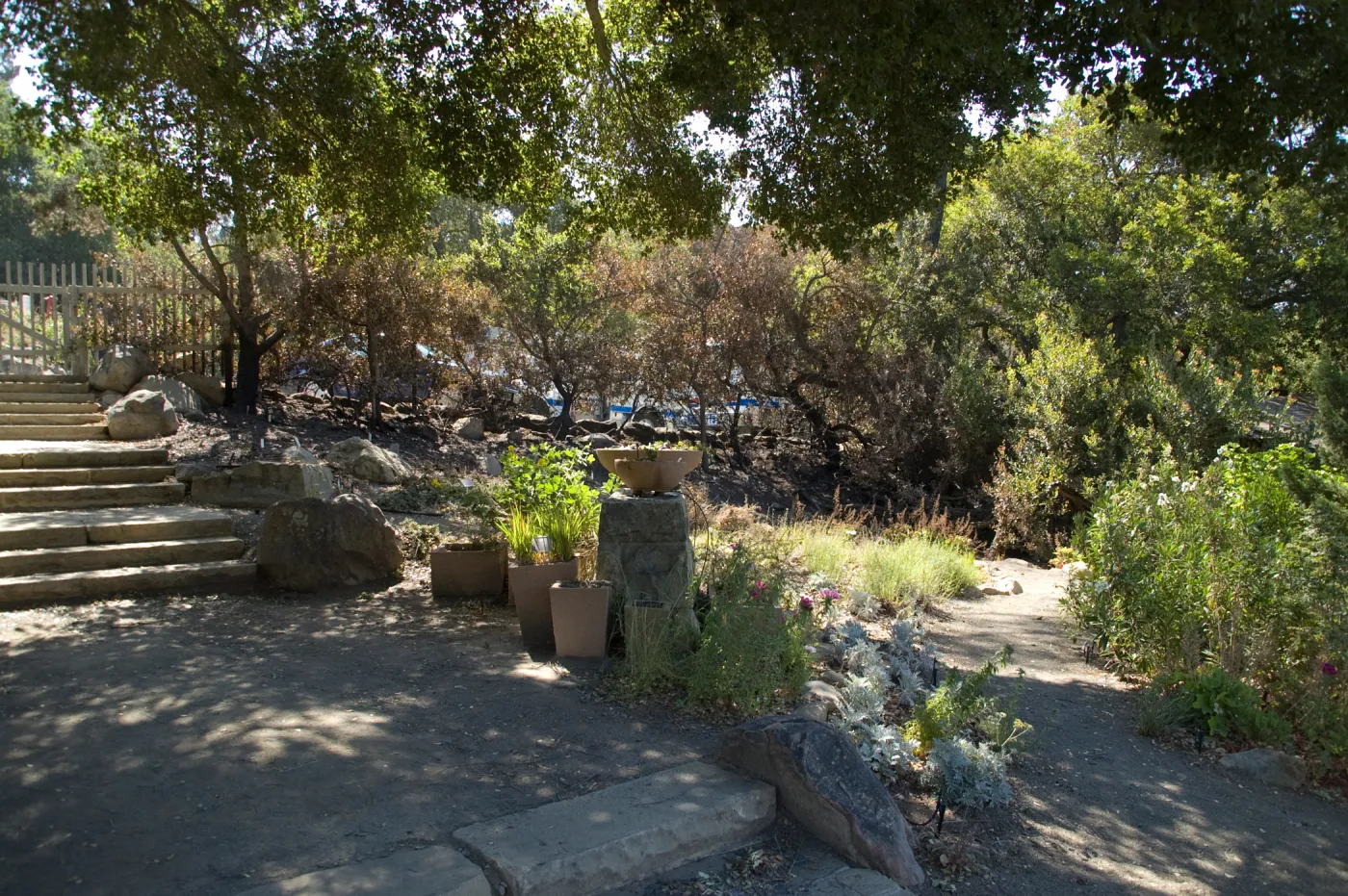 Conservation Display Garden after the Jesusita Fire