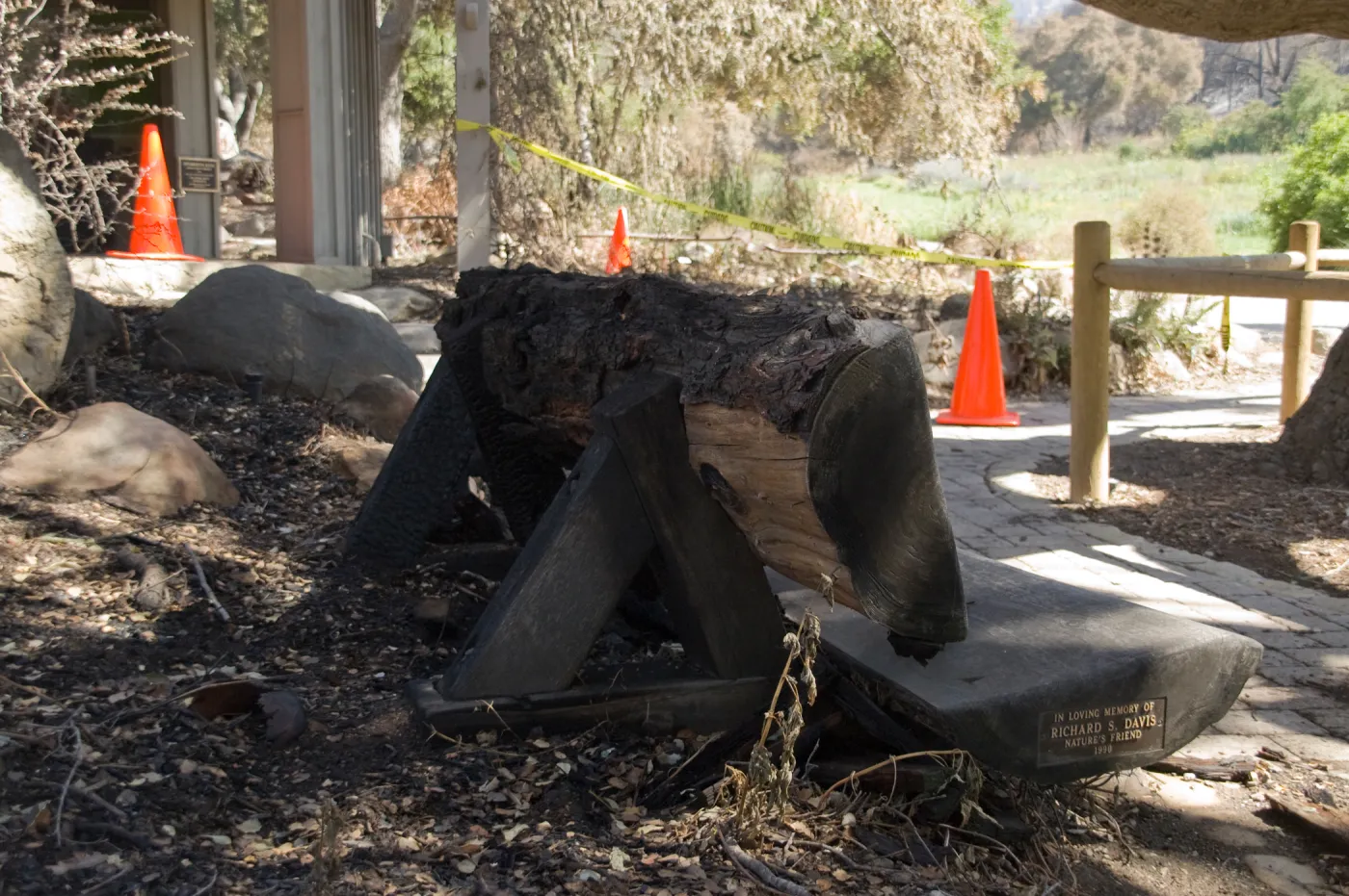 Santa Barbara Botanic Garden Richard S. Davis Bench after the Jesusita Fire, burned wood