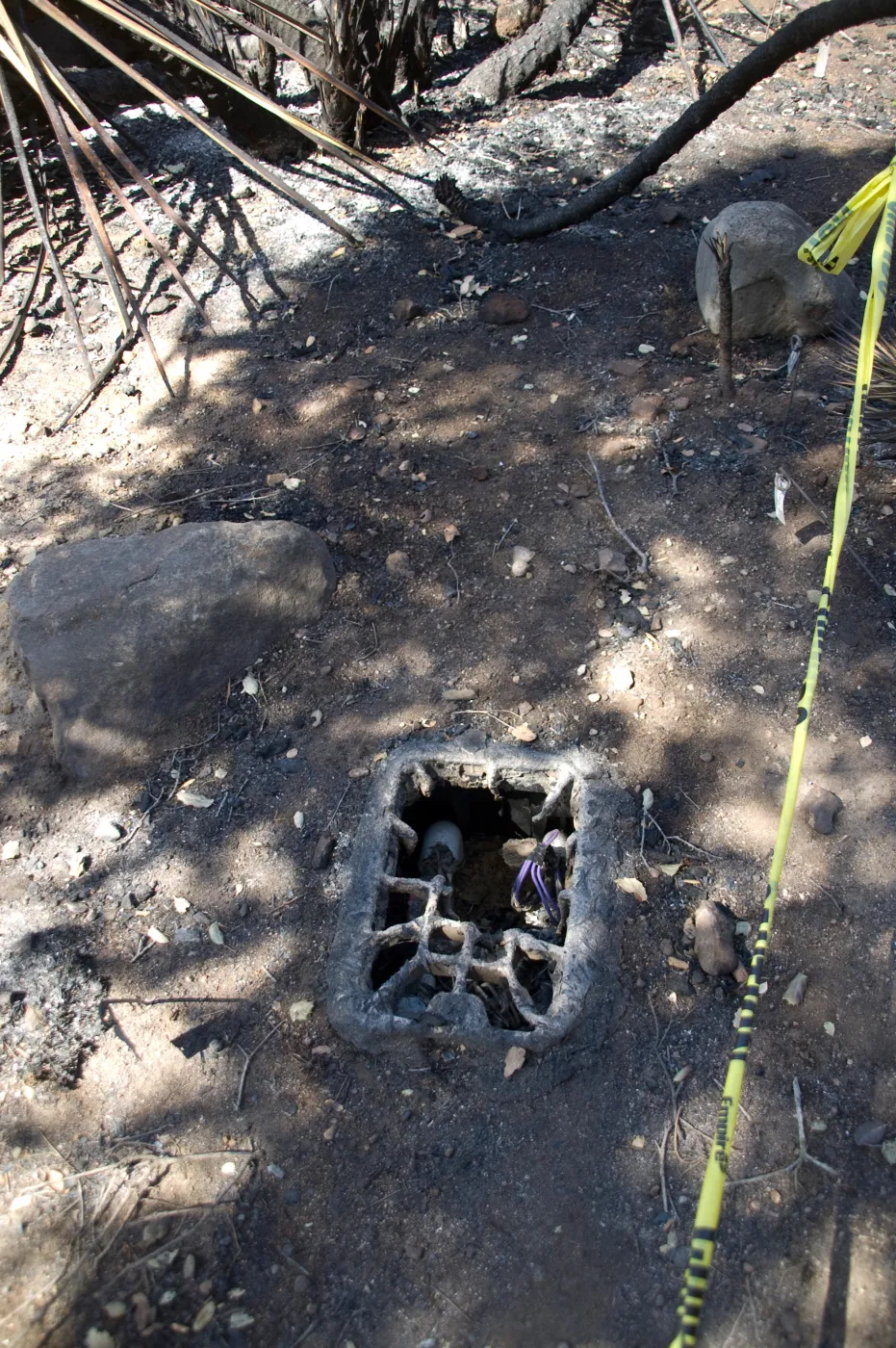 Santa Barbara Botanic Garden after the Jesusita Fire, melted irrigation box