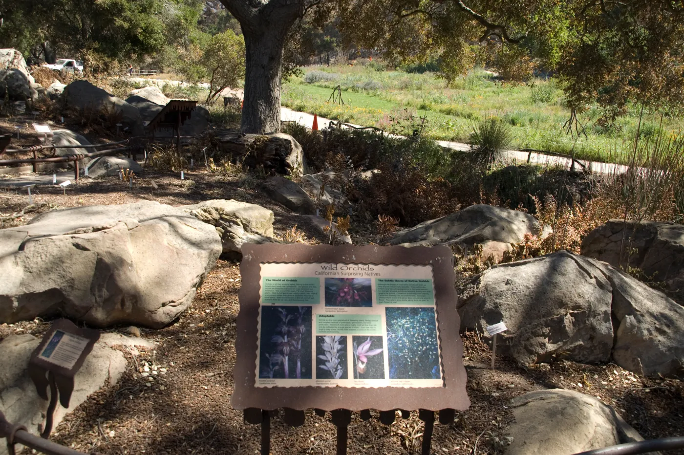 Santa Barbara Botanic Garden after the Jesusita Fire