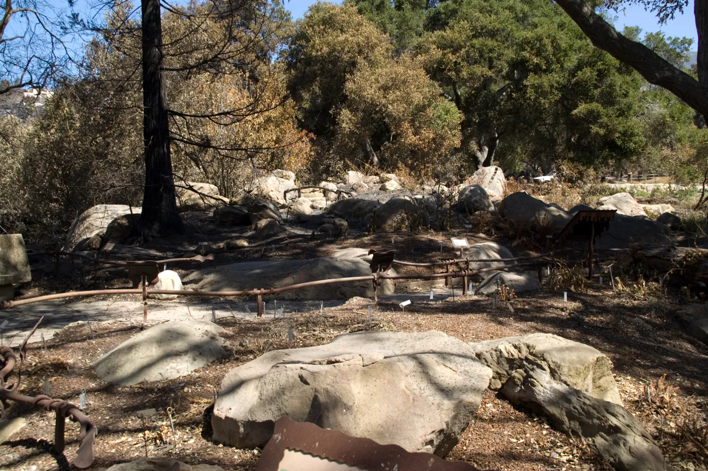 Santa Barbara Botanic Garden after the Jesusita Fire