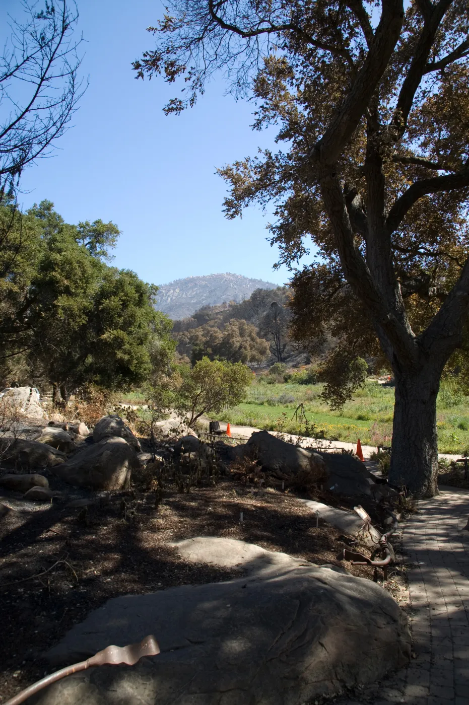 Santa Barbara Botanic Garden after the Jesusita Fire