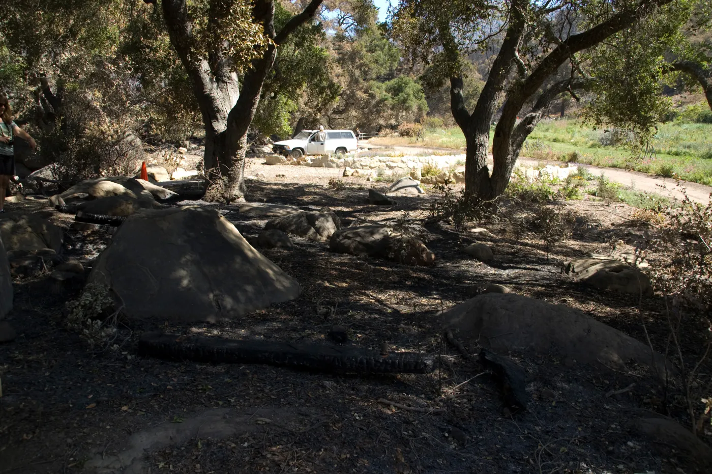Santa Barbara Botanic Garden after the Jesusita Fire