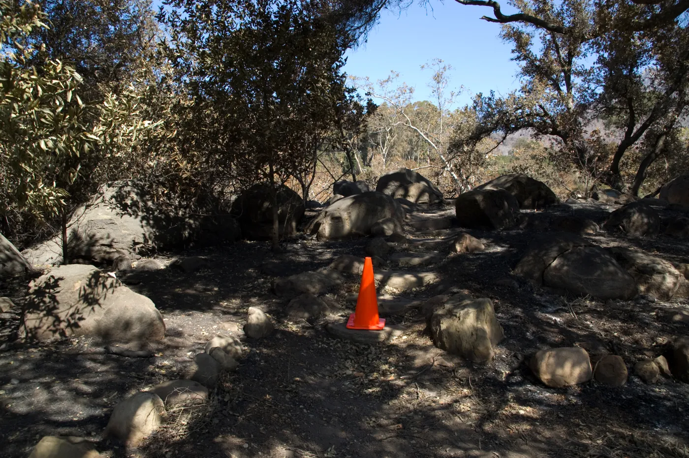 Santa Barbara Botanic Garden after the Jesusita Fire