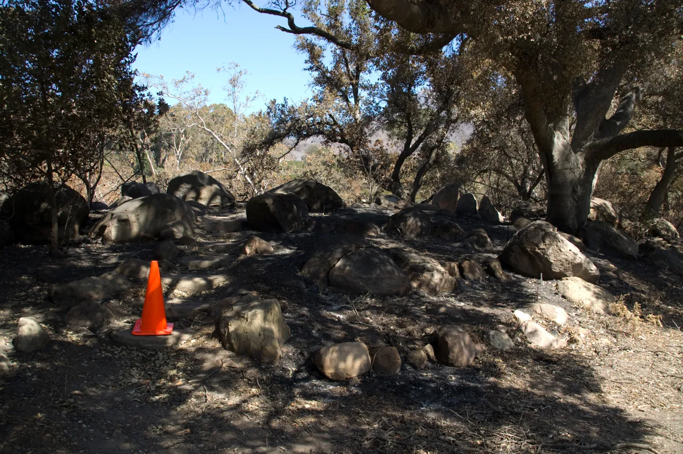 Santa Barbara Botanic Garden after the Jesusita Fire