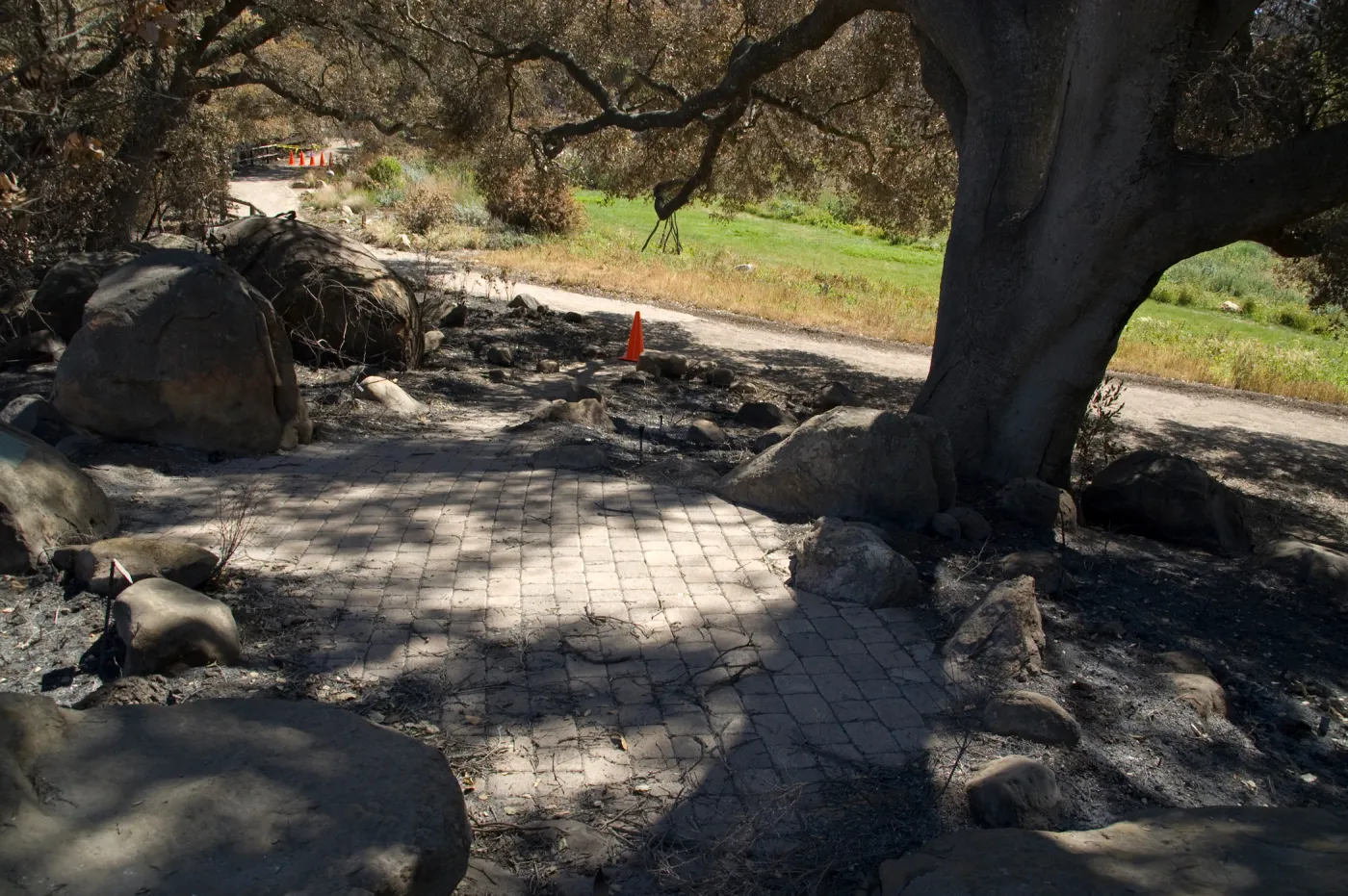 Santa Barbara Botanic Garden after the Jesusita Fire