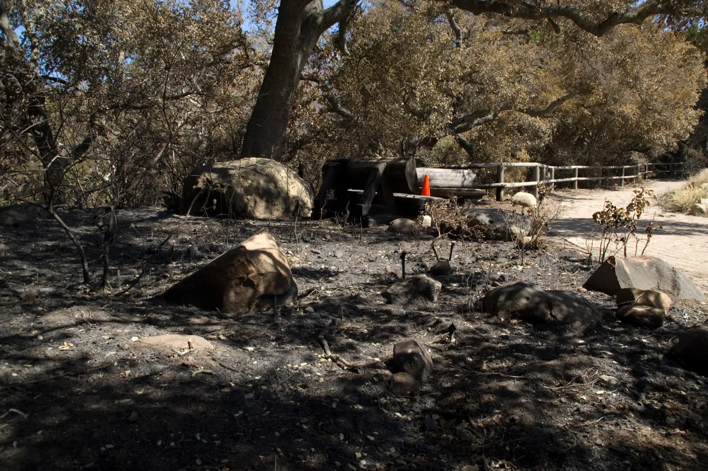 burned wood benches after the Jesusita Fire