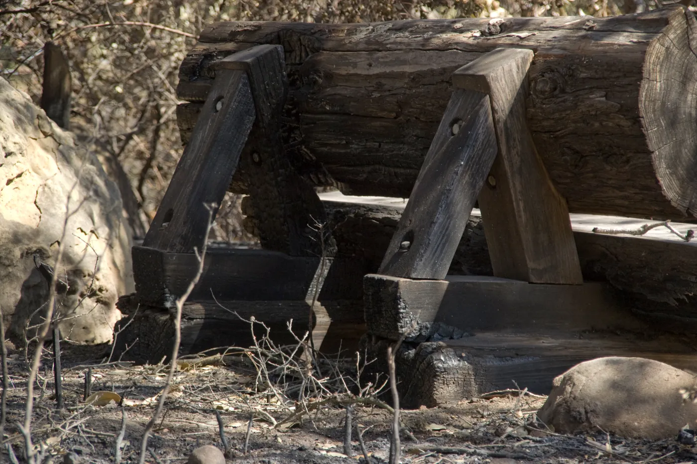 Santa Barbara Botanic Garden after the Jesusita Fire, burned wood bench