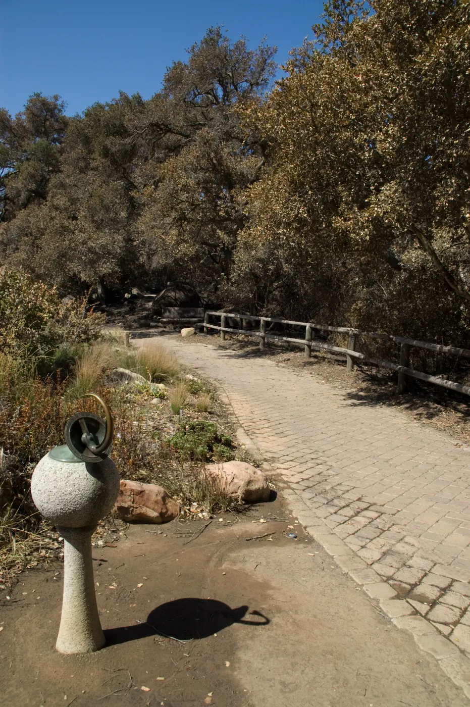 Santa Barbara Botanic Garden after the Jesusita Fire