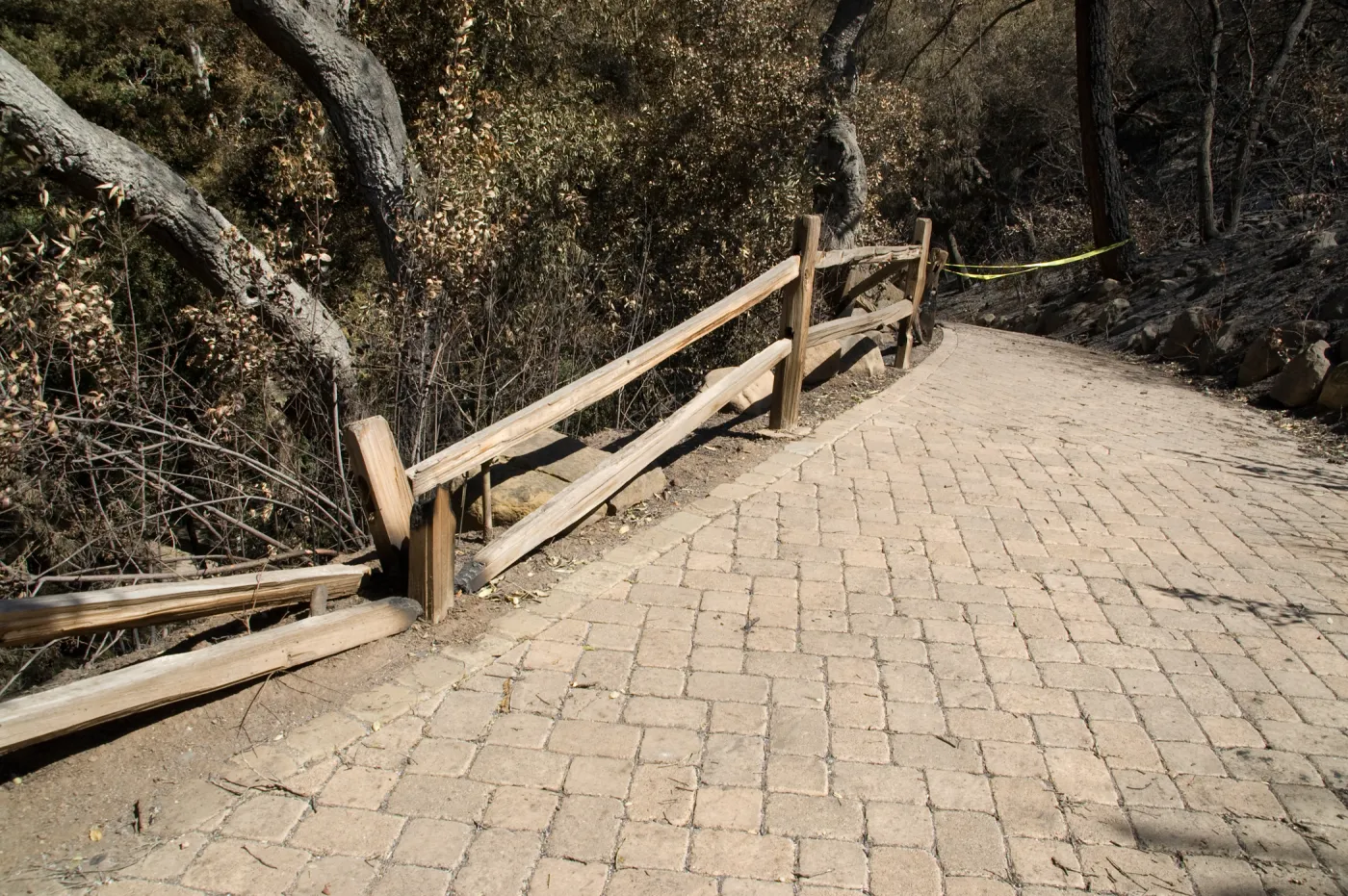 Santa Barbara Botanic Garden after the Jesusita Fire, burned railing at top of Redwood section
