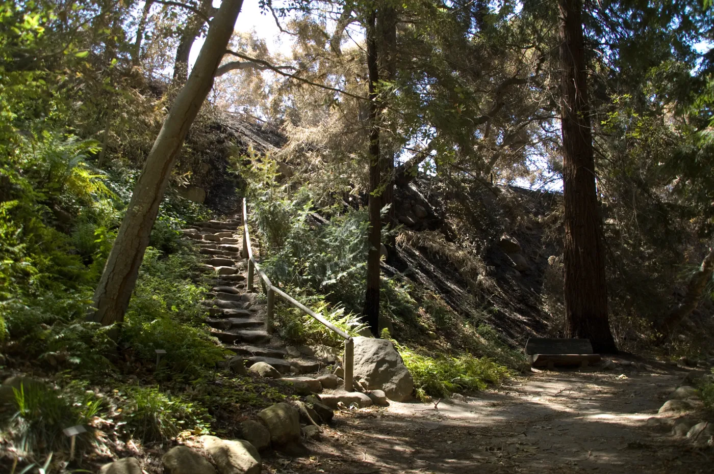 Santa Barbara Botanic Garden after the Jesusita Fire, Indian Steps