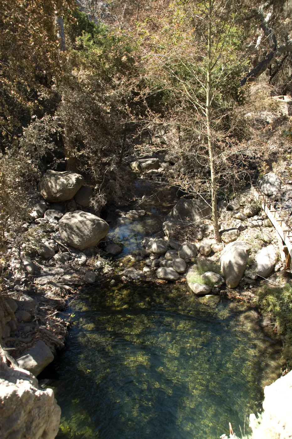 Santa Barbara Botanic Garden after the Jesusita Fire, burned vegetation below Mission Dam