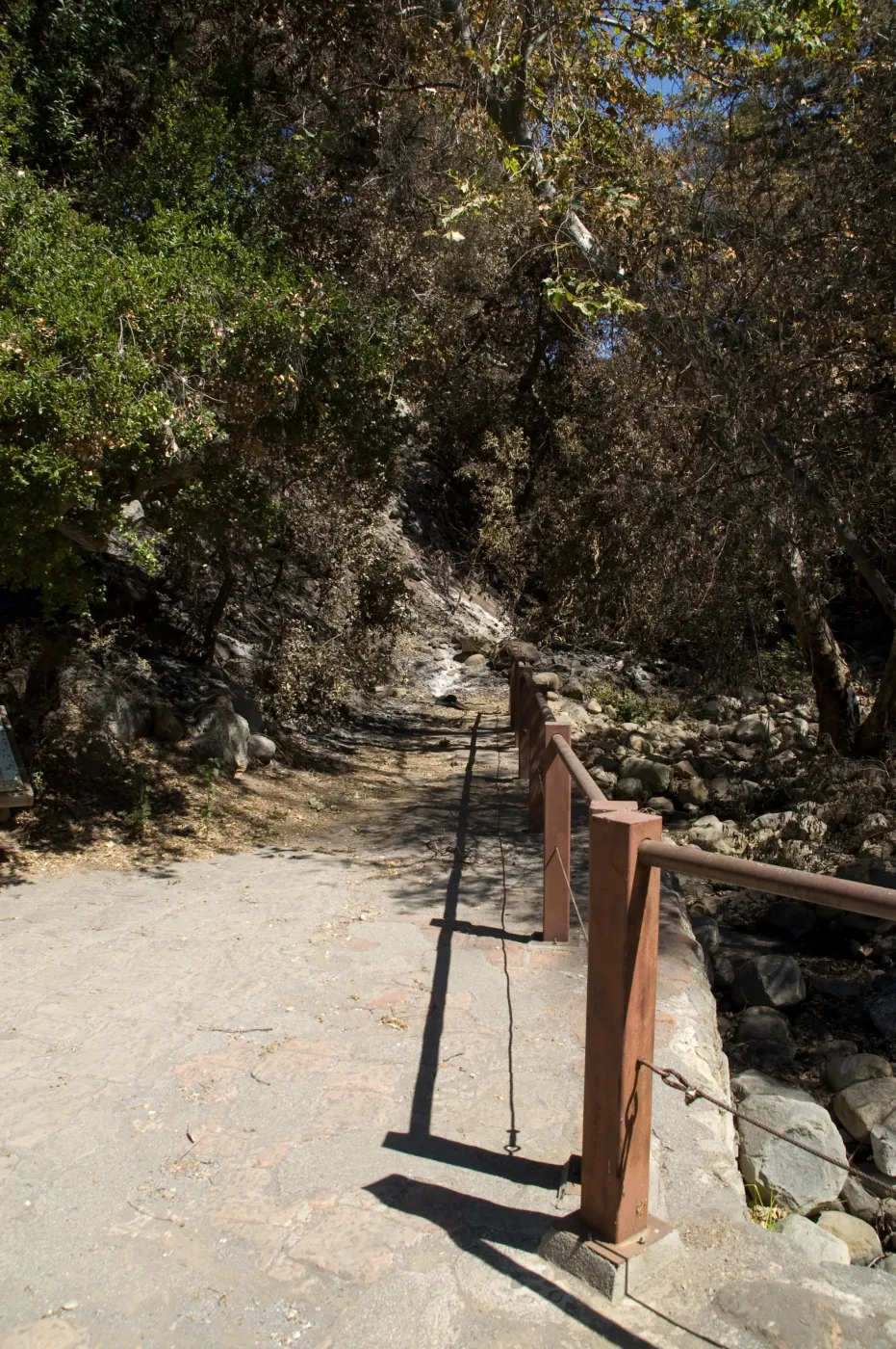 Santa Barbara Botanic Garden after the Jesusita Fire, burned area around dam