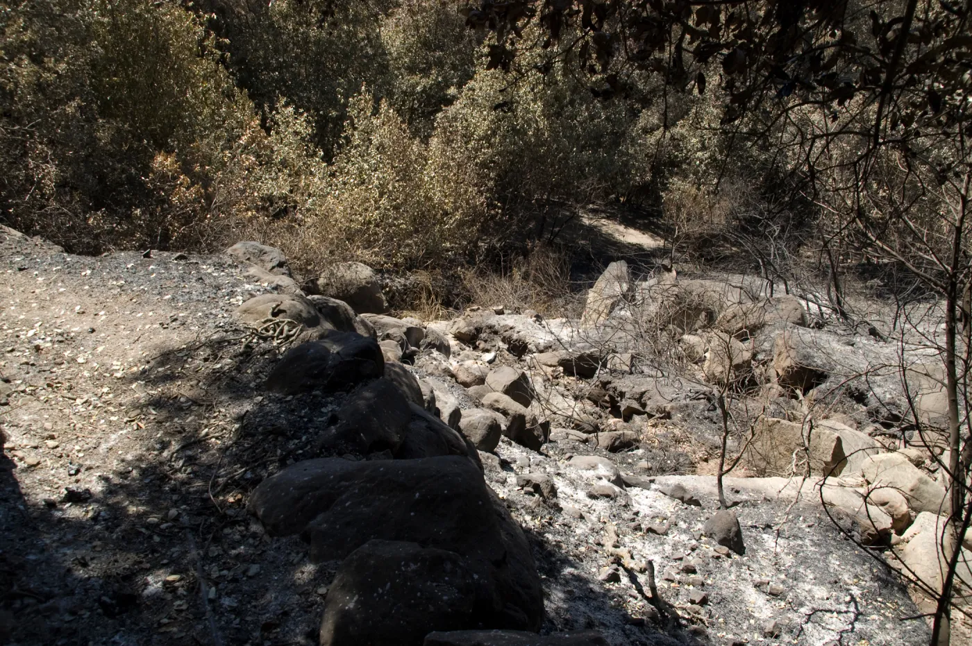 Pritchett Trail looking down large rocky drainage to canyon bottom after the Jesusita Fire