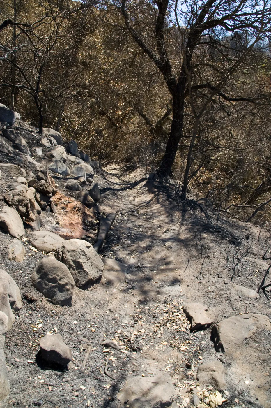 site of burned wood bench located on Pritcehtt Trail after the Jesusita Fire