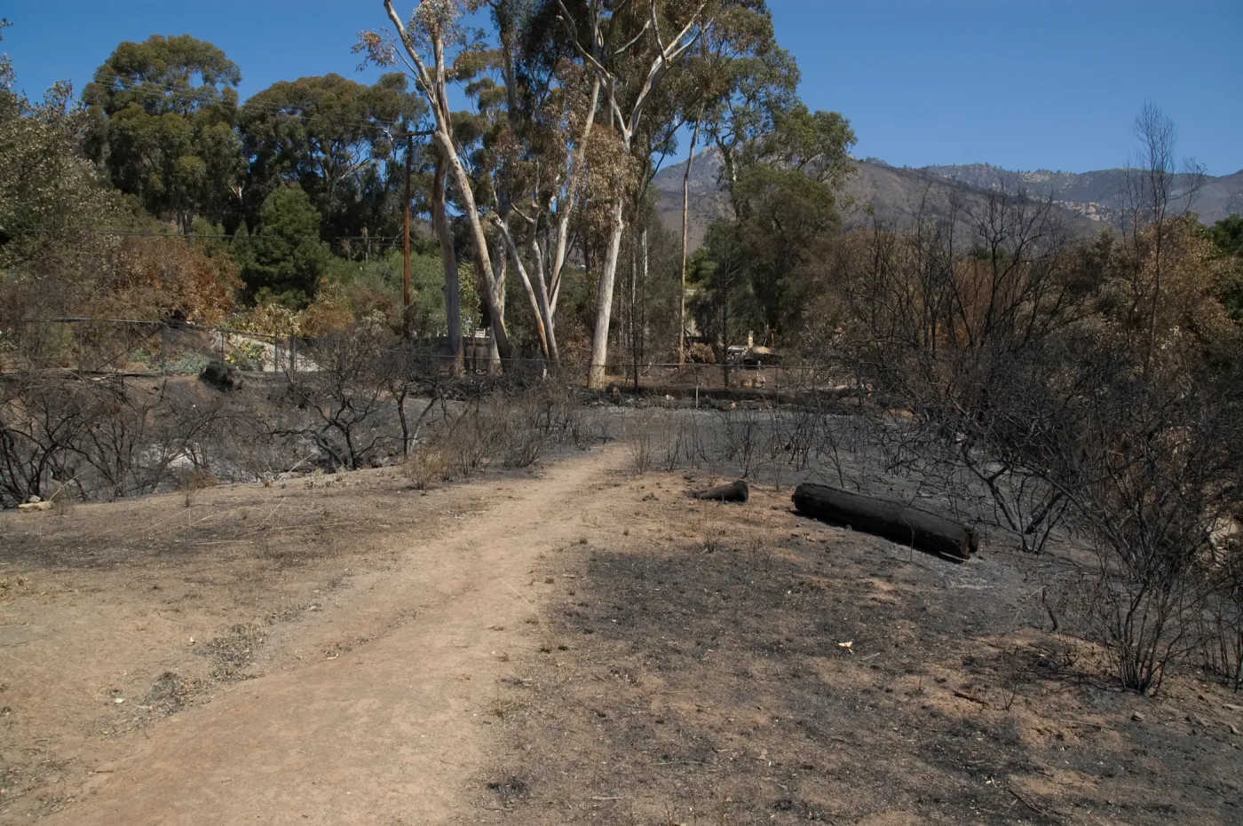 Pritchett Trail at Tunnel Road gate after the Jesusita Fire