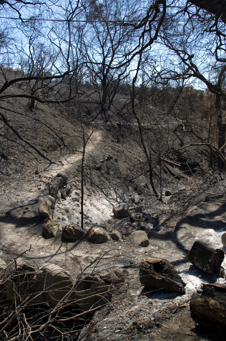 Stone foot bridge and burned wood chunks on Pritchett Trail after the Jesusita Fire