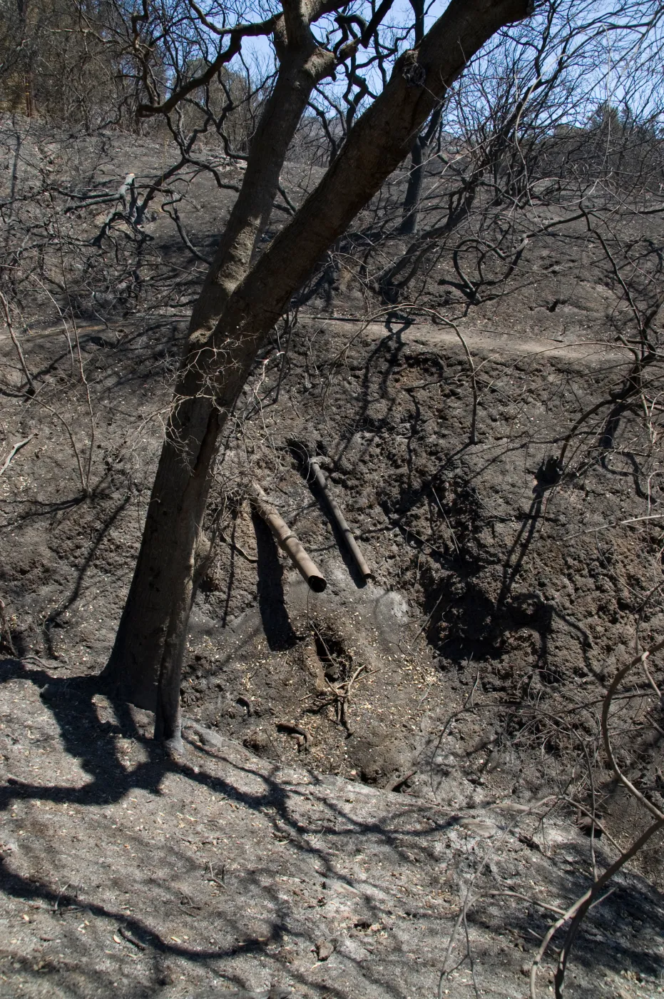 Pritchett Trail drainage after the Jesusita Fire