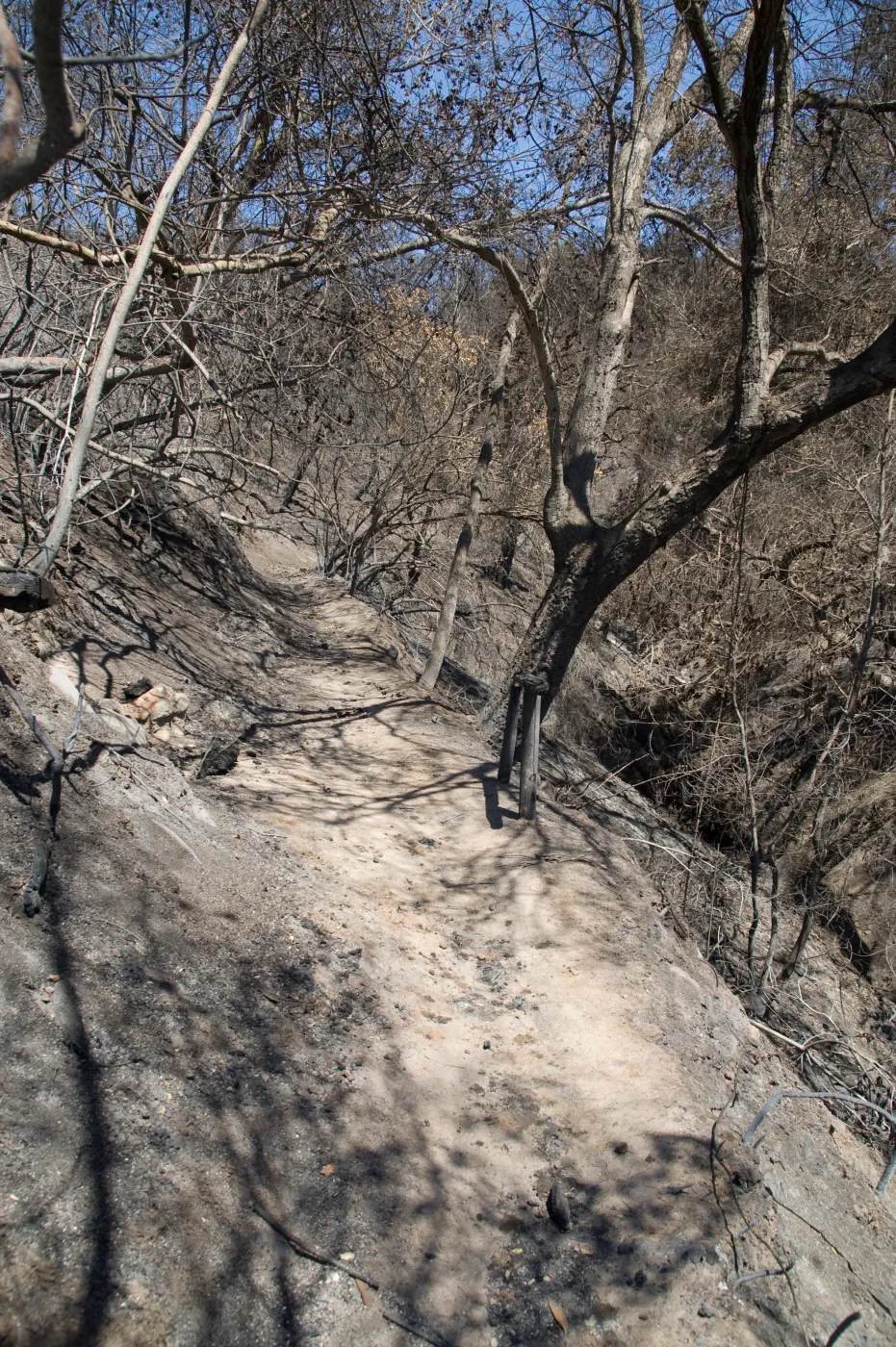 burned wood bench location on Pritchett Trail after the Jesusita Fire