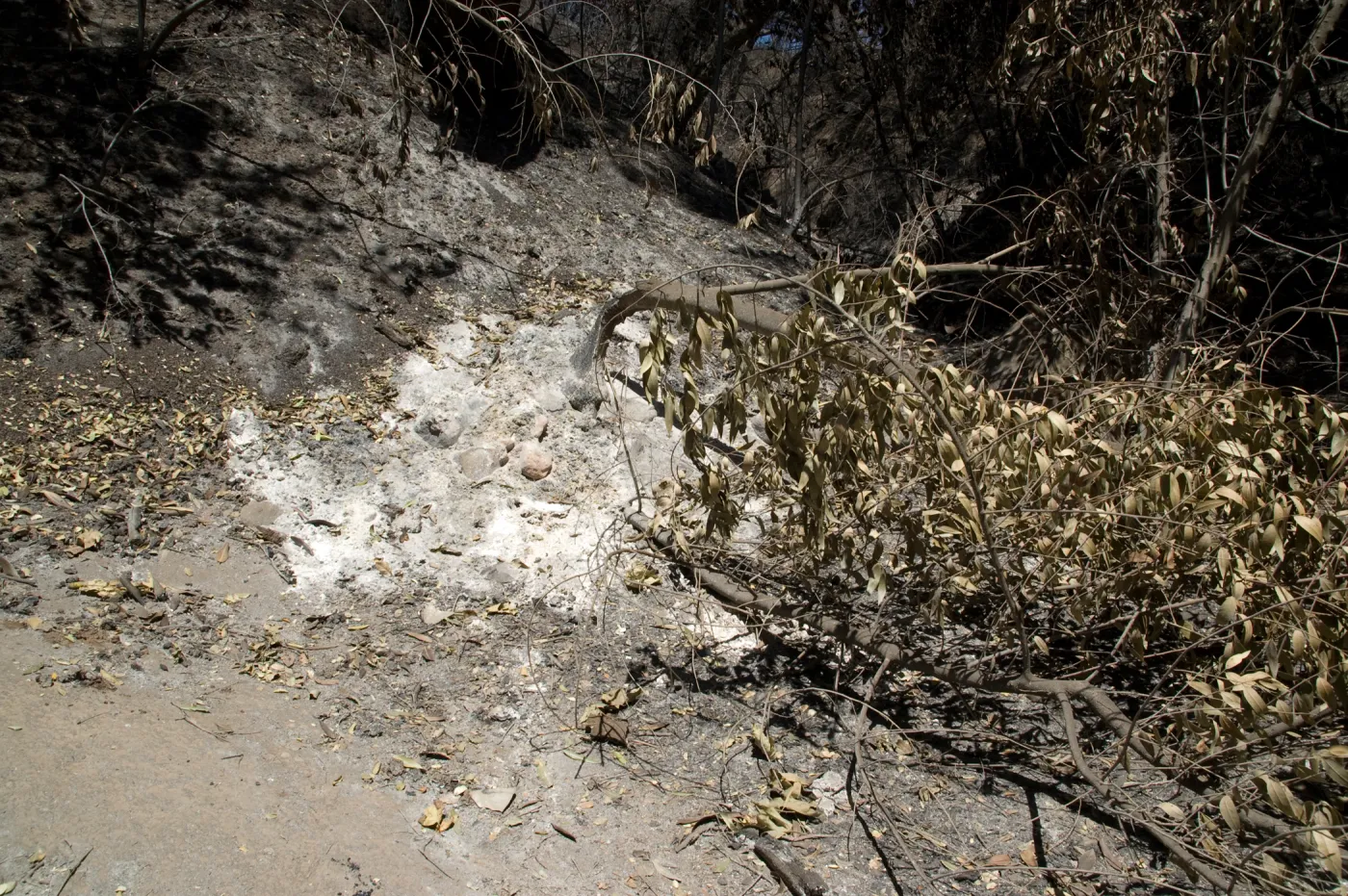 hot white ash, Pritchett Trail, after the Jesusita Fire