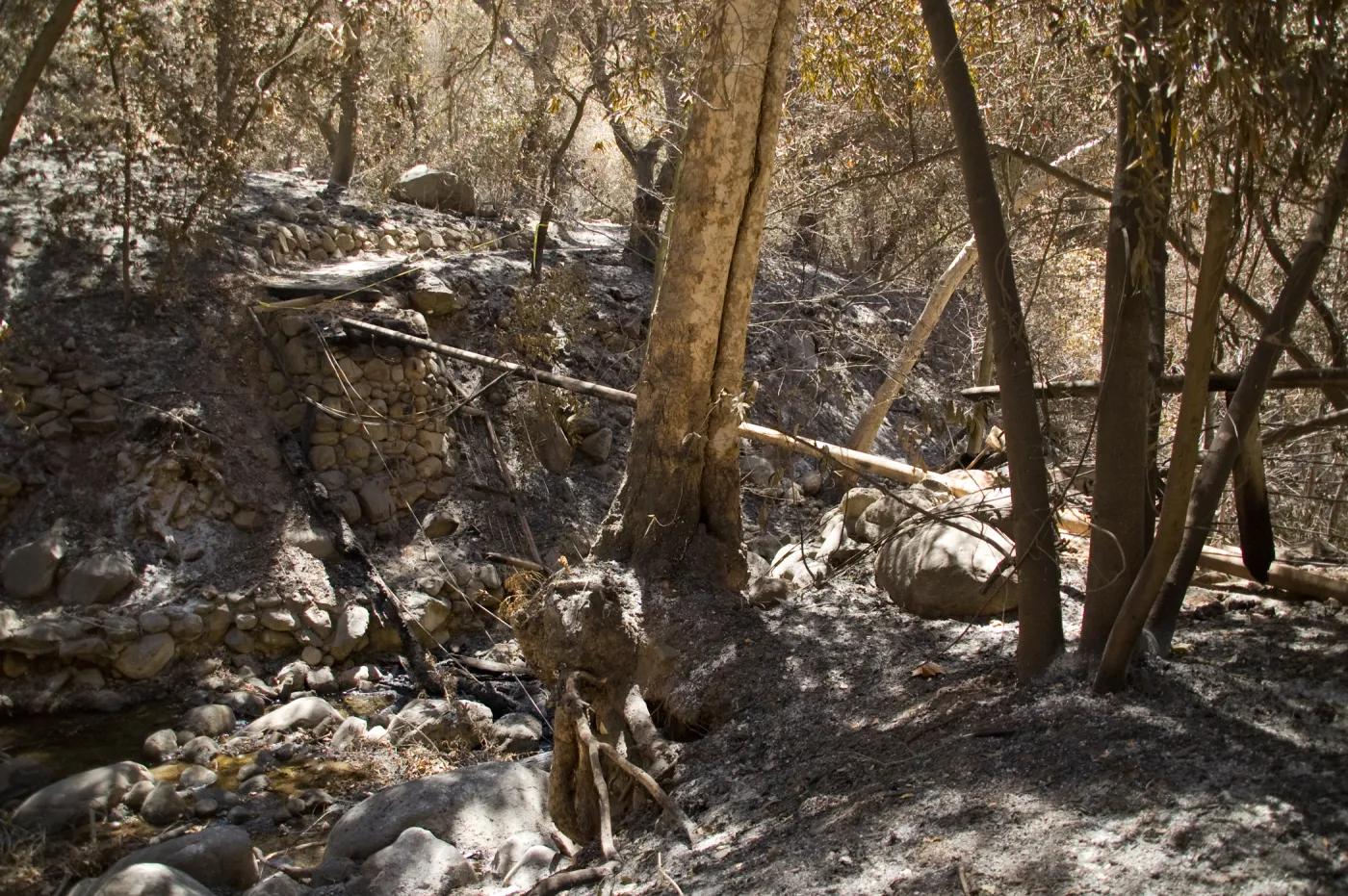 Campbell Bridge after the Jesusita Fire
