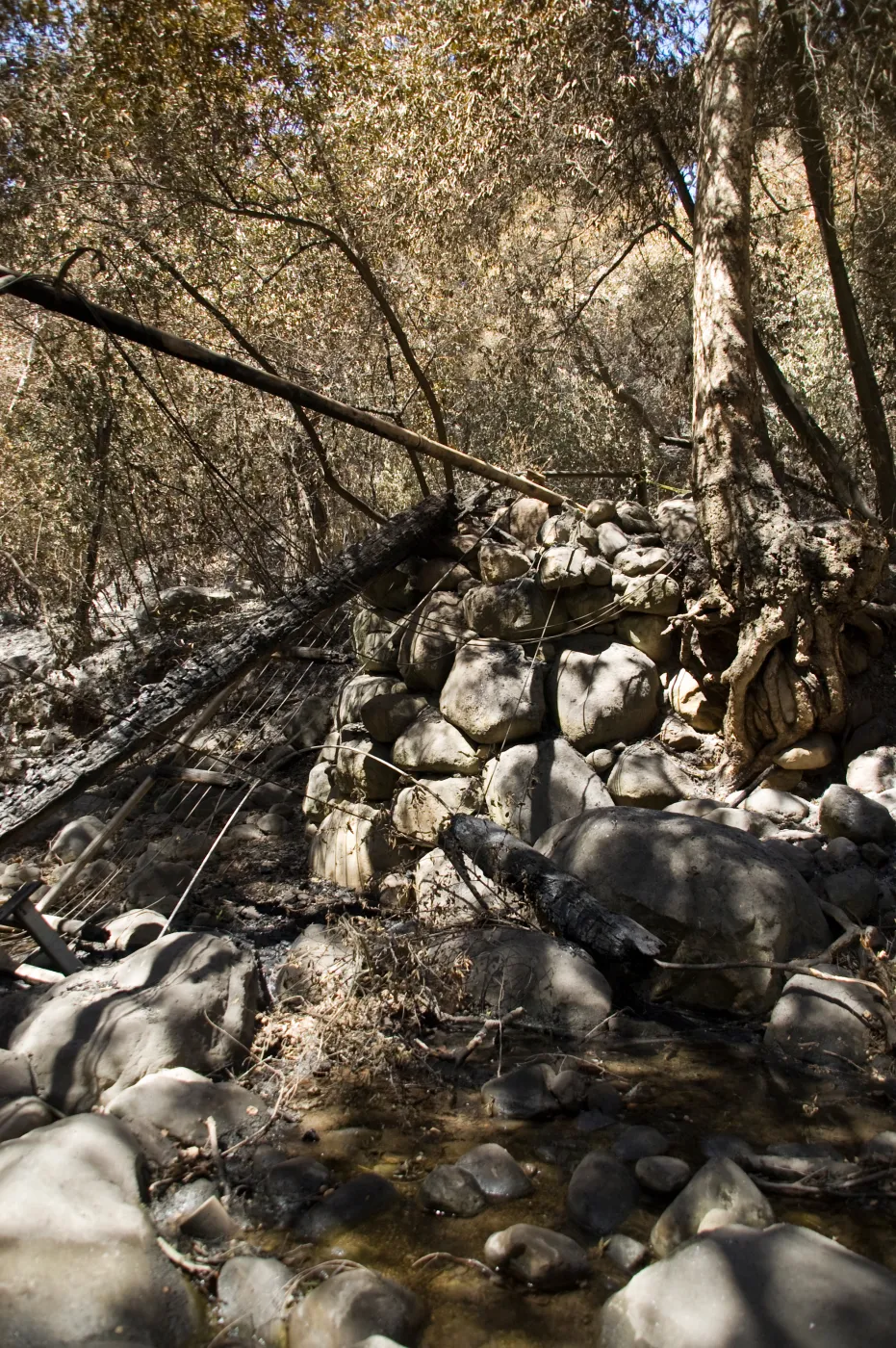 Campbell Bridge after the Jesusita Fire