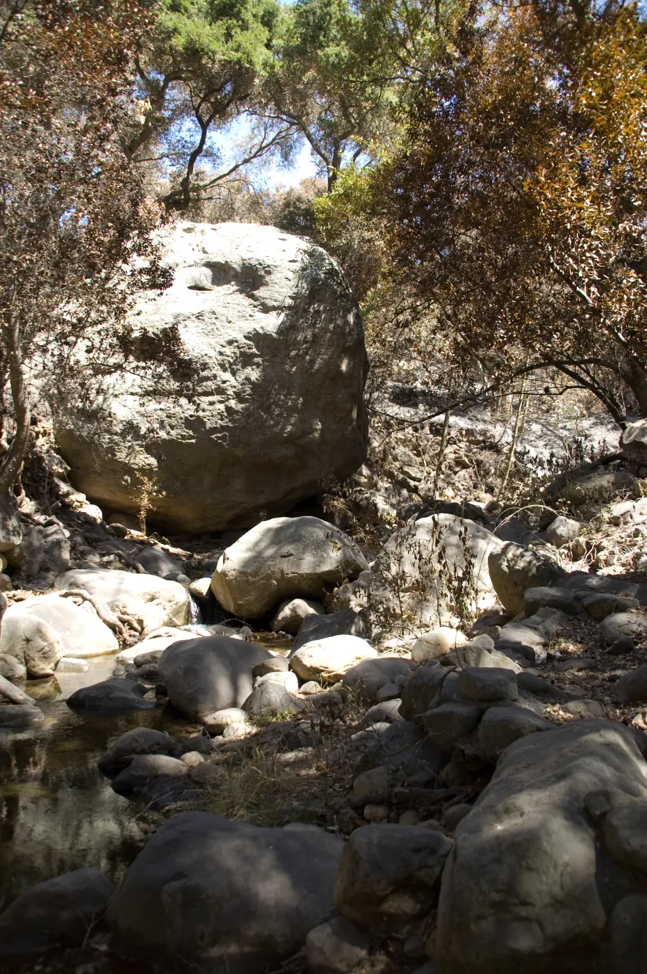 Boulder in Mission Creek after the Jesusita Fire