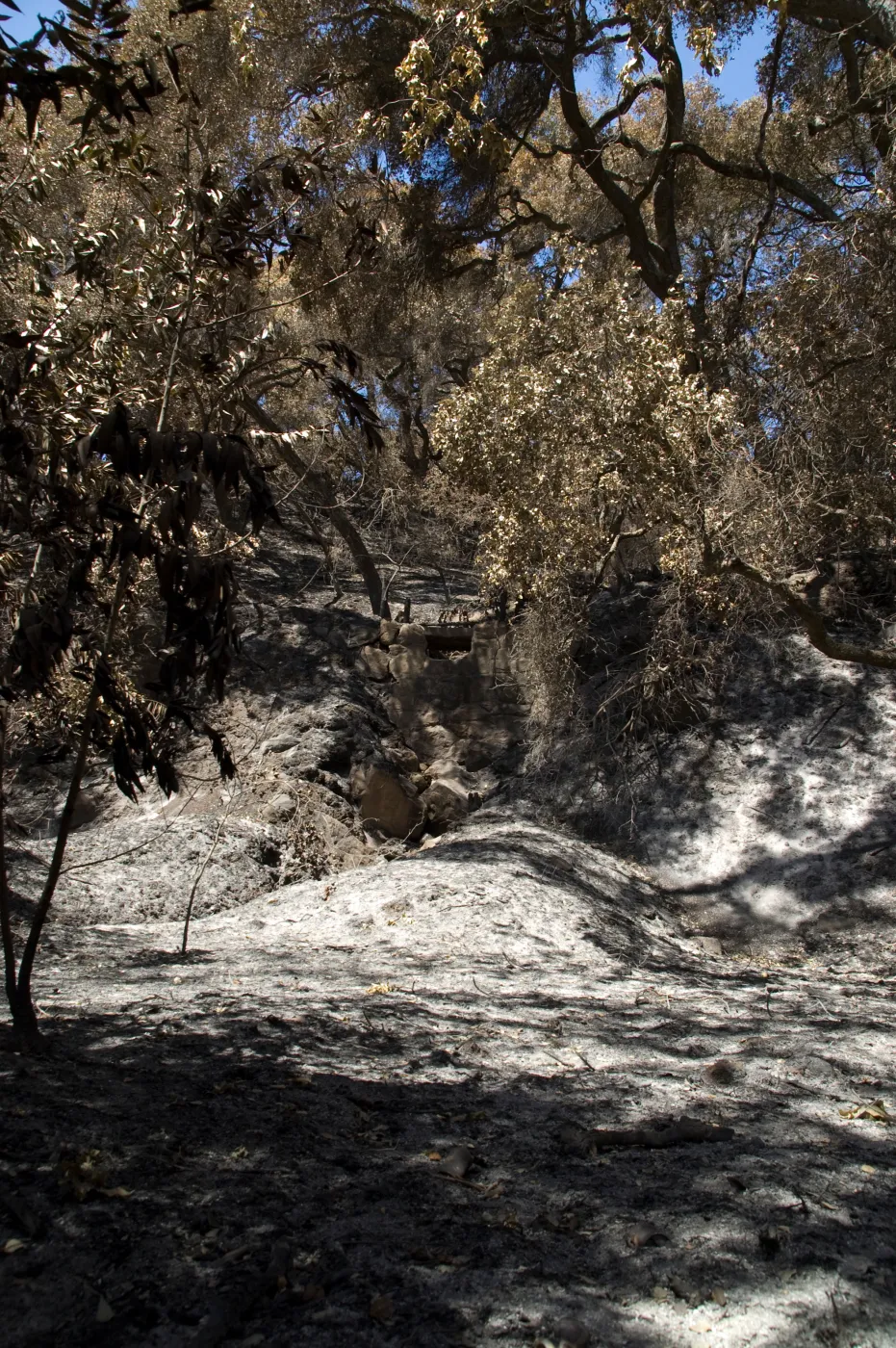 Mission Canyon after the Jesusita Fire