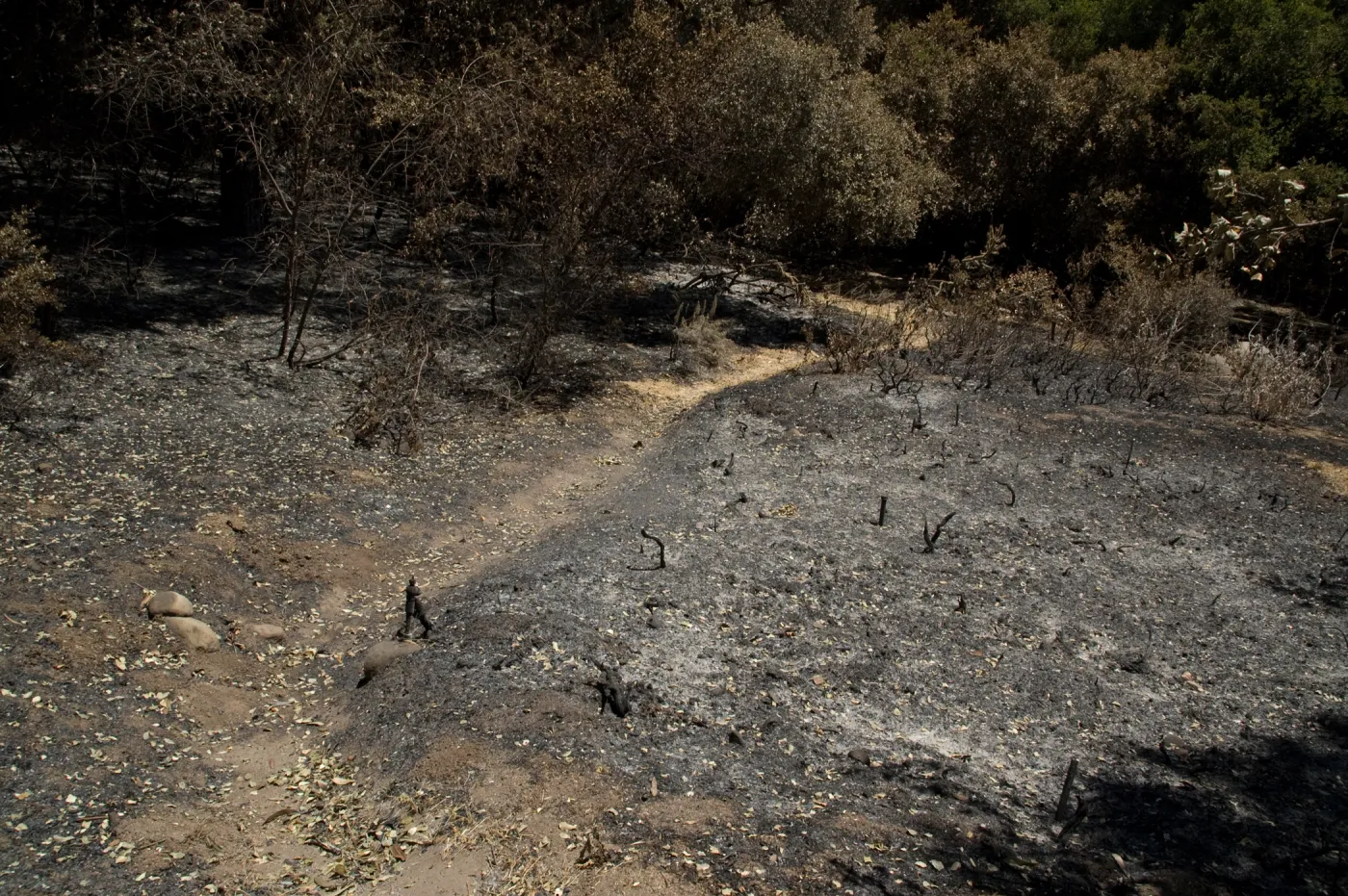 The Island Section after the Jesusita Fire