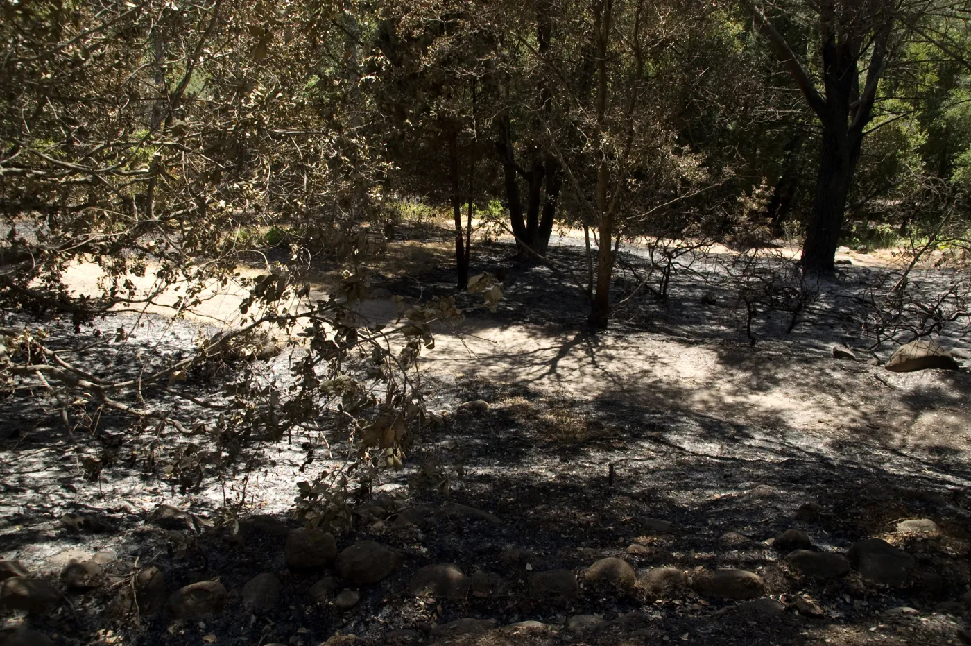 Aqueduct adjacent to Island Section after the Jesusita Fire