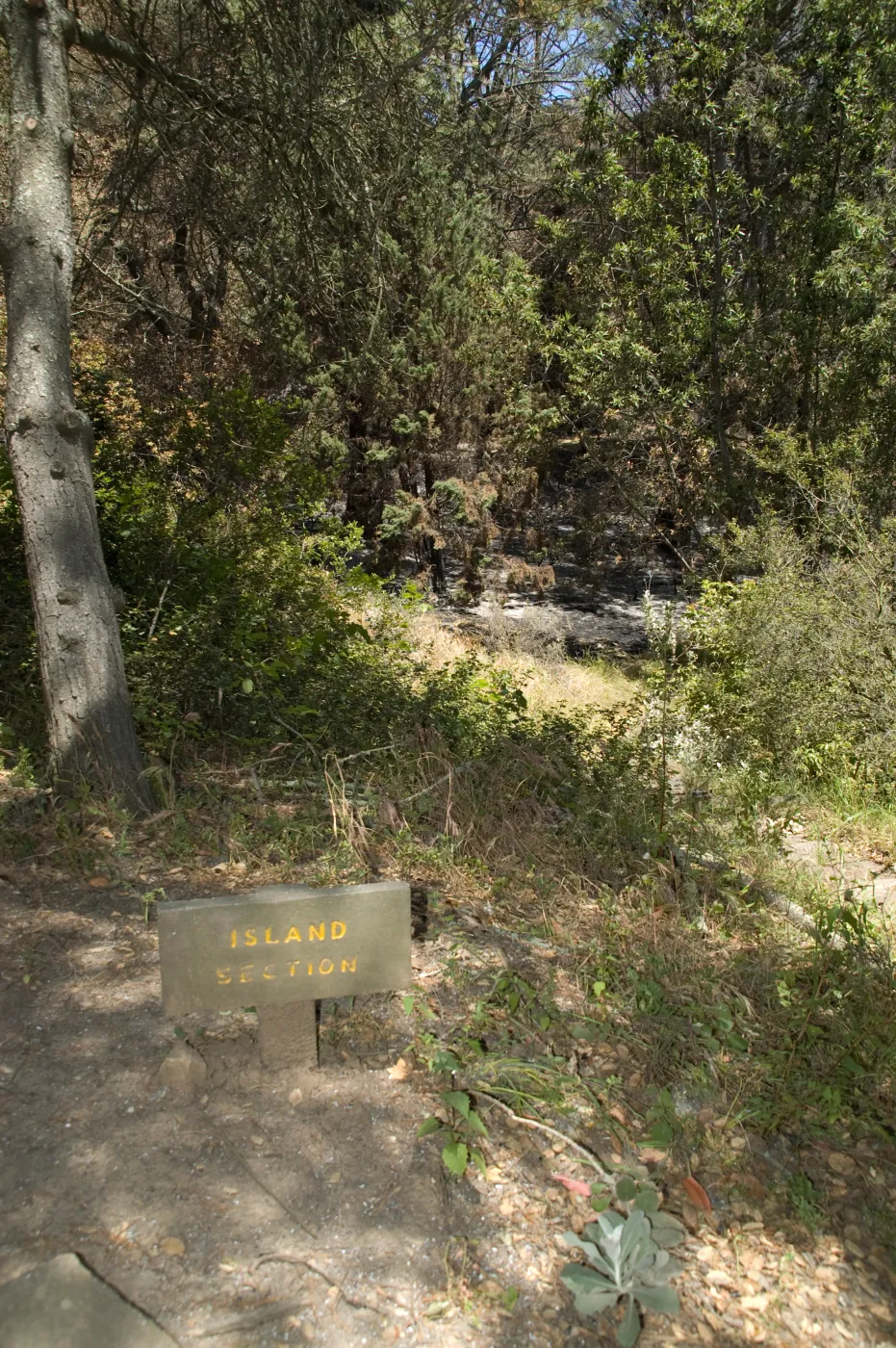 unburned Island Section Sign after the Jesusita Fire