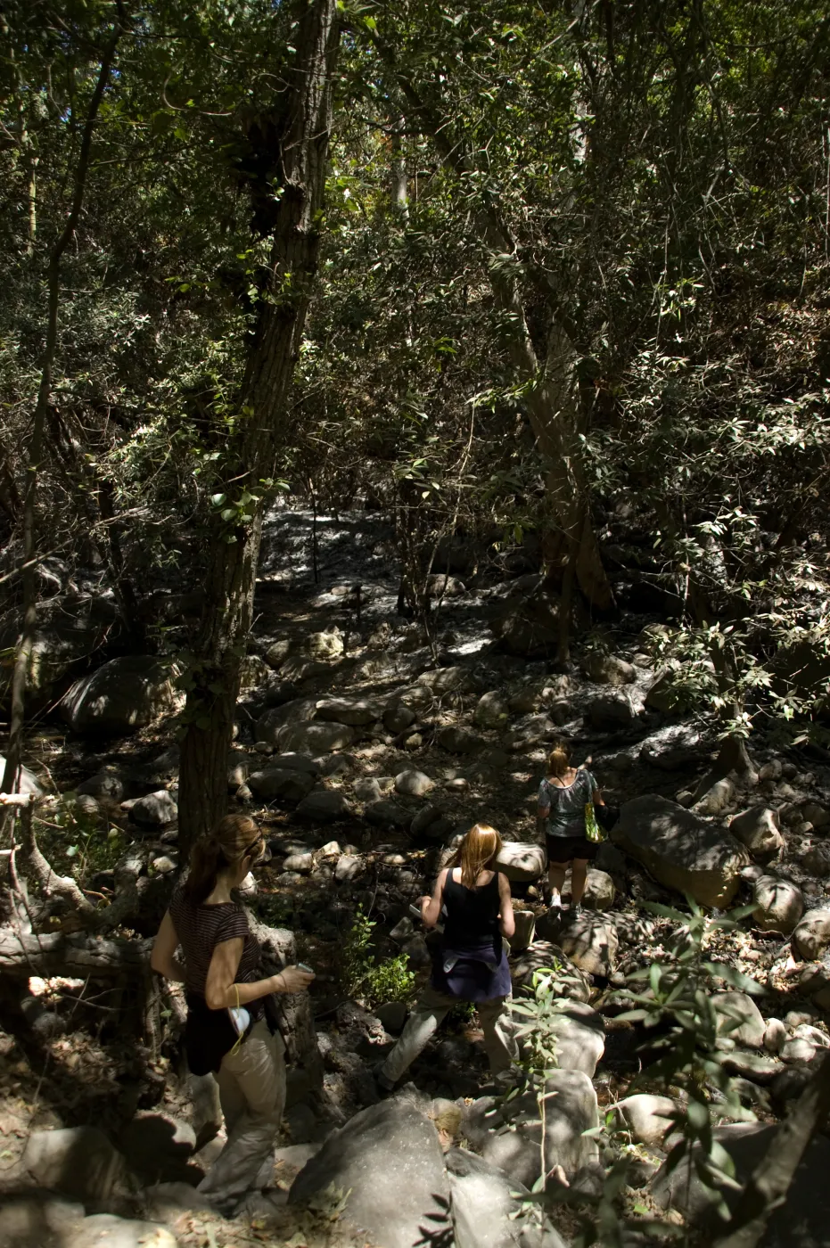 Mission Creek crossing from Canyon Trail to Creek Trail after the Jesusita Fire
