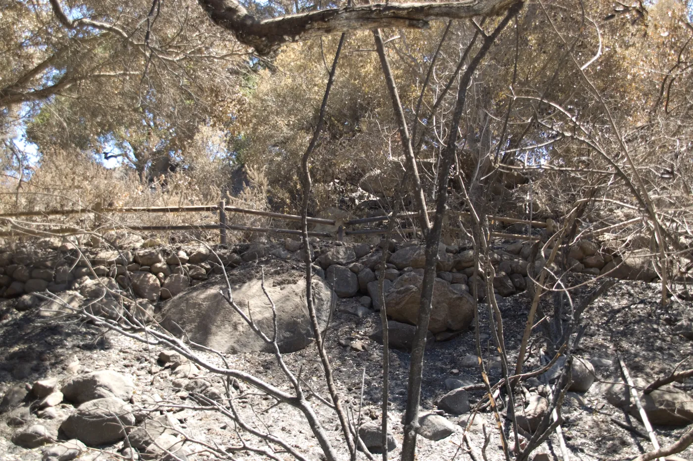 Campbell Trail after the Jesusita Fire