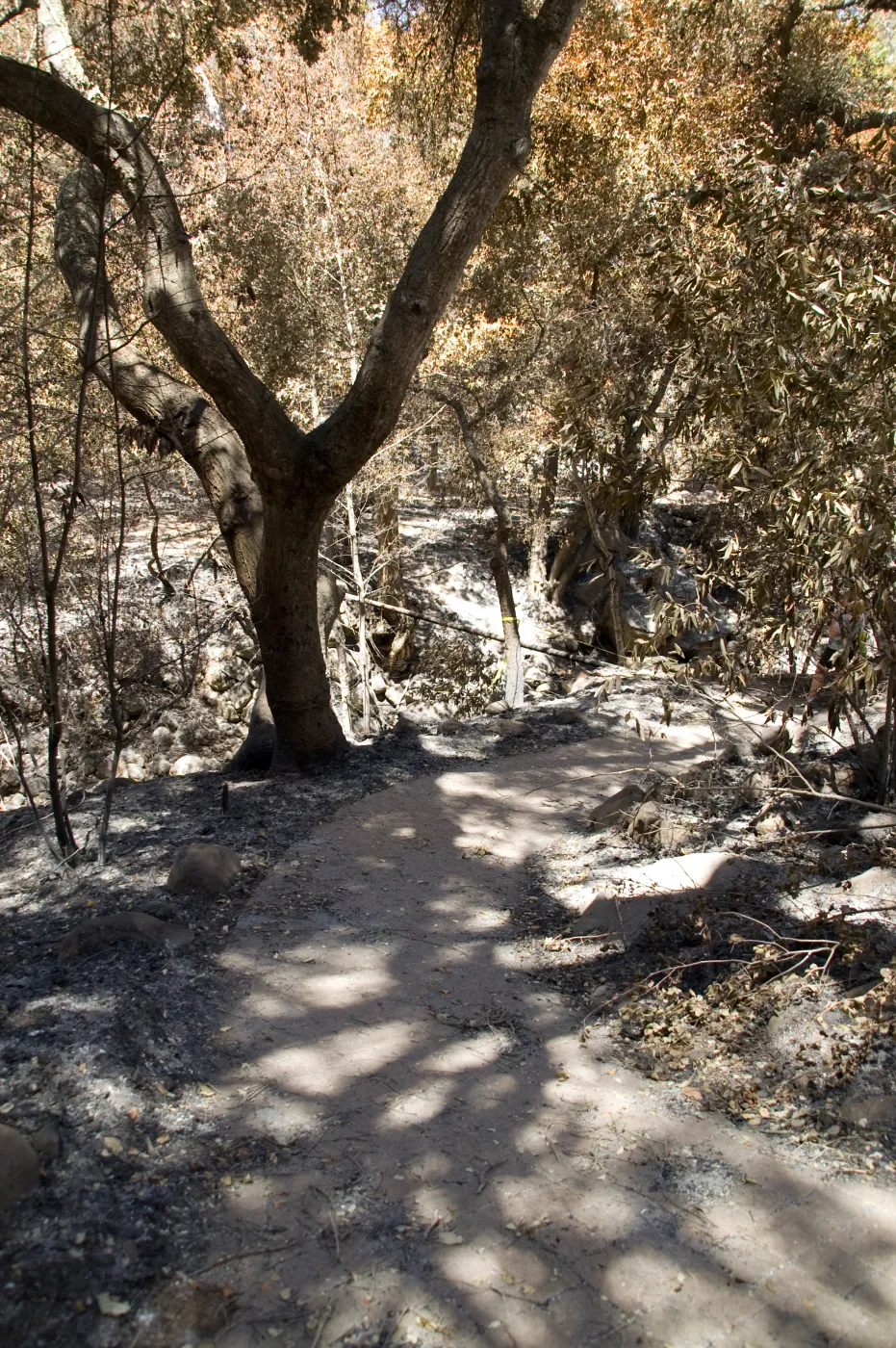 remains of Campbell Bridge after the Jesusita Fire