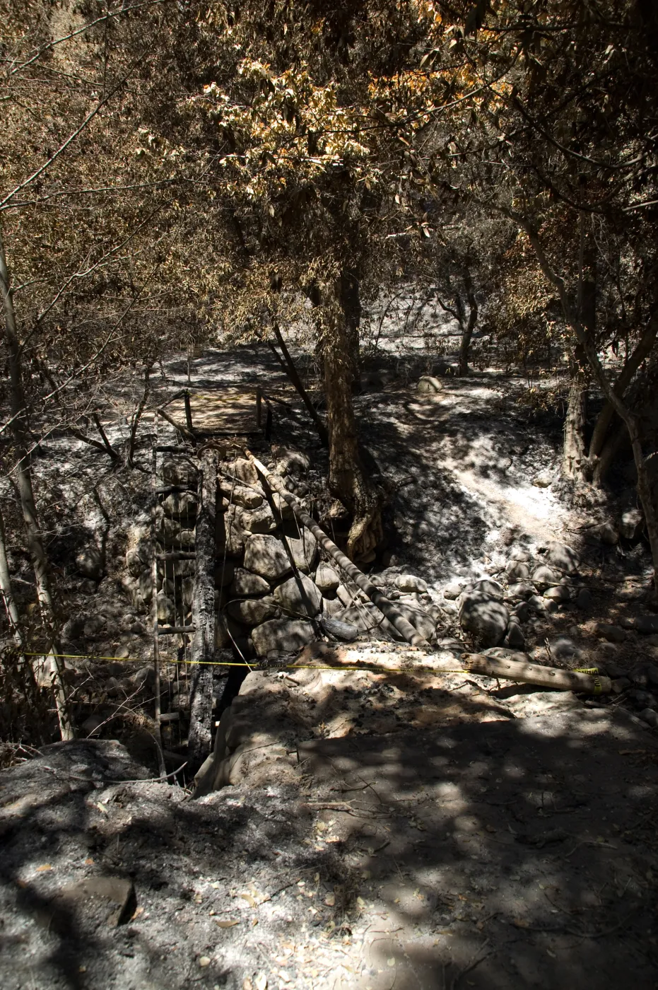 Santa Barbara Botanic Garden after the Jesusita Fire