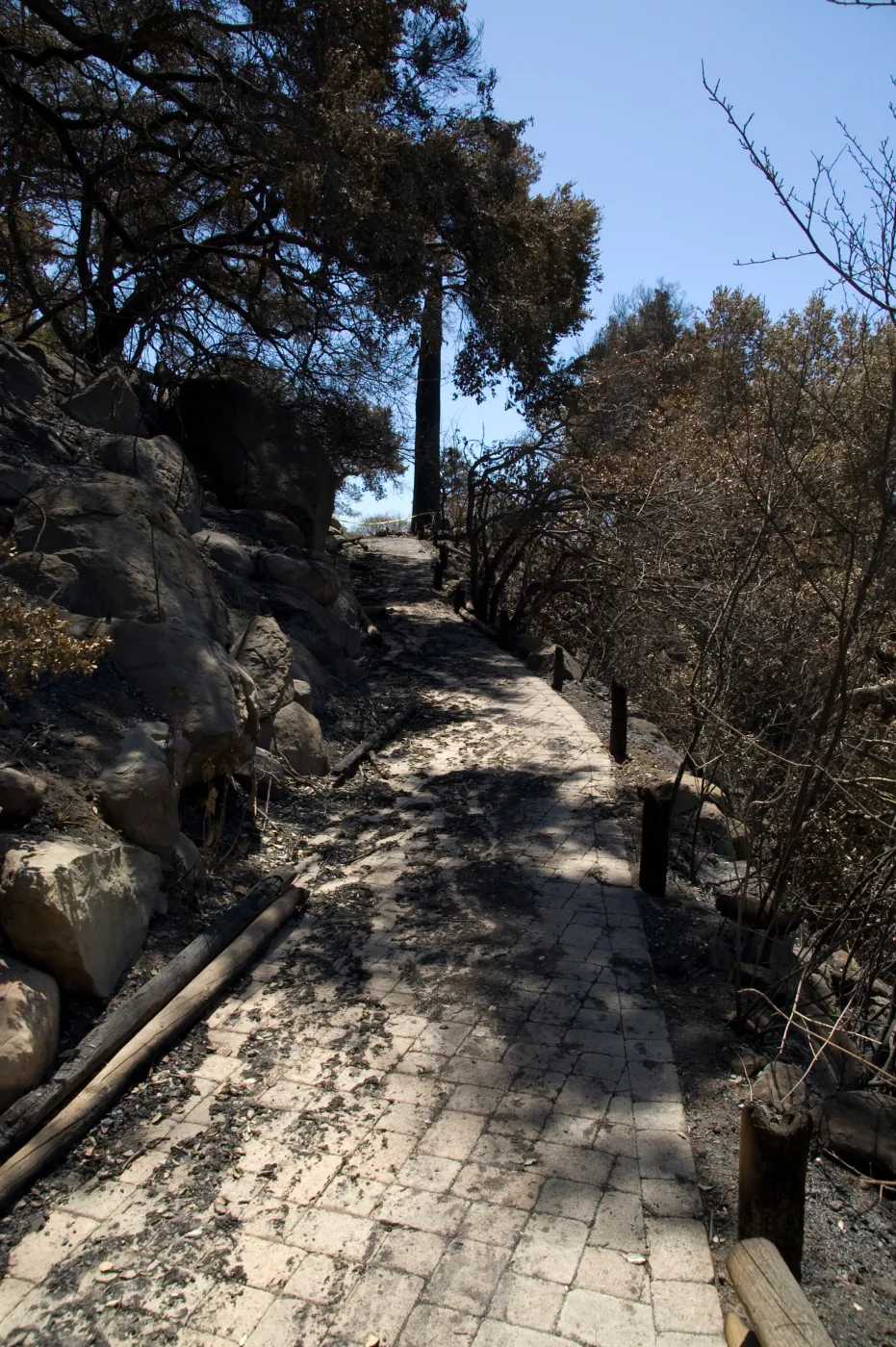 burned railings near top of the Campbell Trail, after the Jesusita Fire