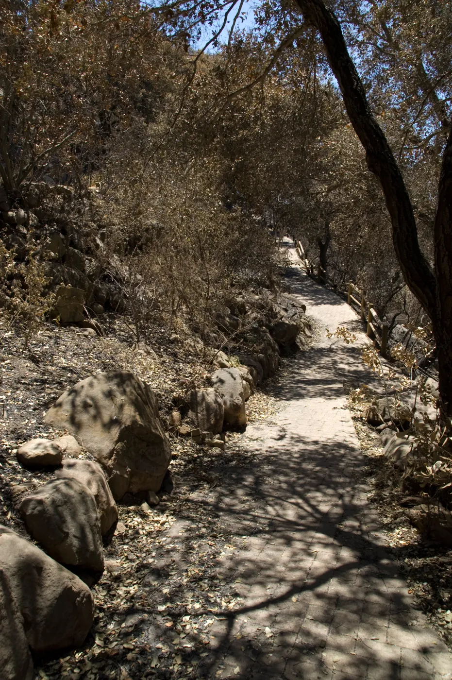 Campbell Trail and path to Picnic Area path after the Jesusita Fire
