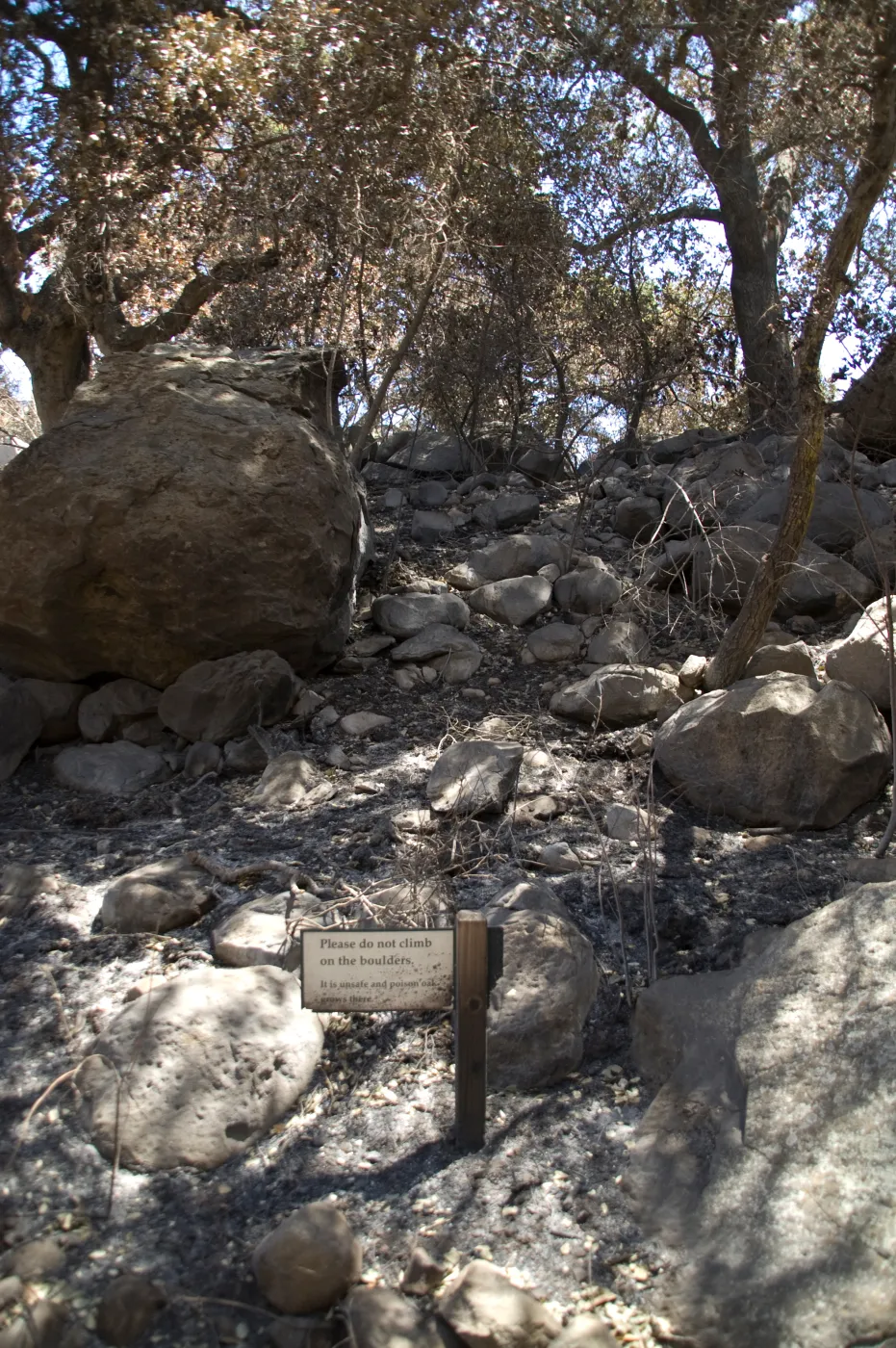 Boulders on slope above Picnic Area after the Jesusita Fire