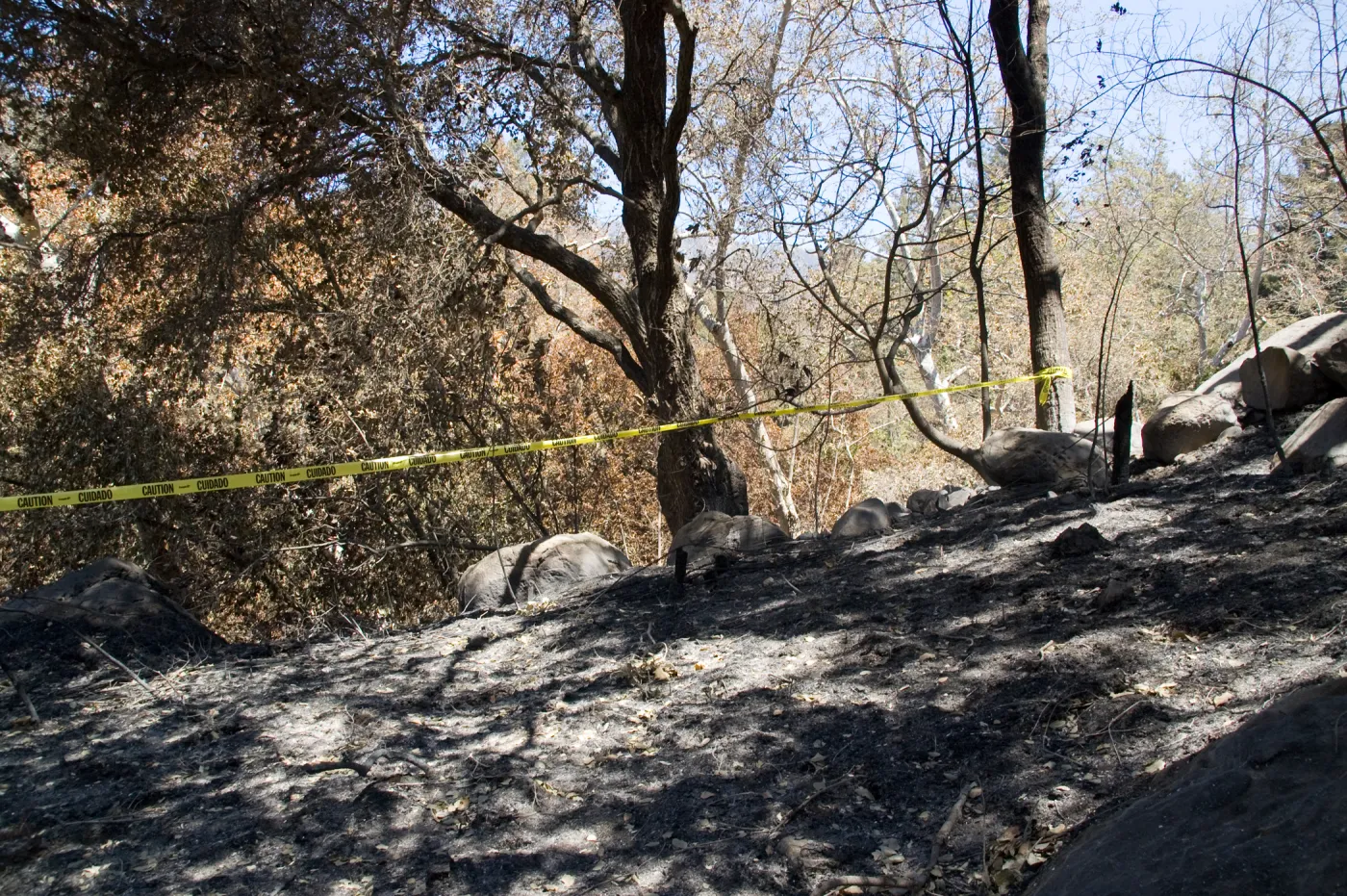 burned fence adjacent to Picnic Area after the Jesusita Fire
