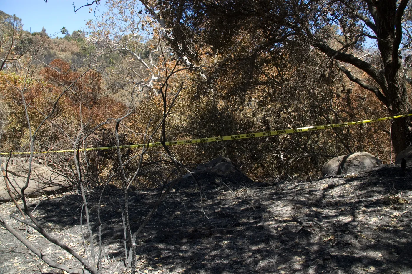 burned fence adjacent to Picnic Area after the Jesusita Fire