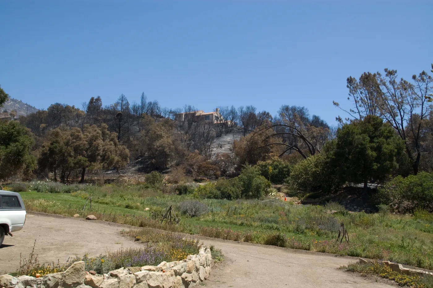 View across Meadow to Mission Canyon neighbor's house after the Jesusita Fire