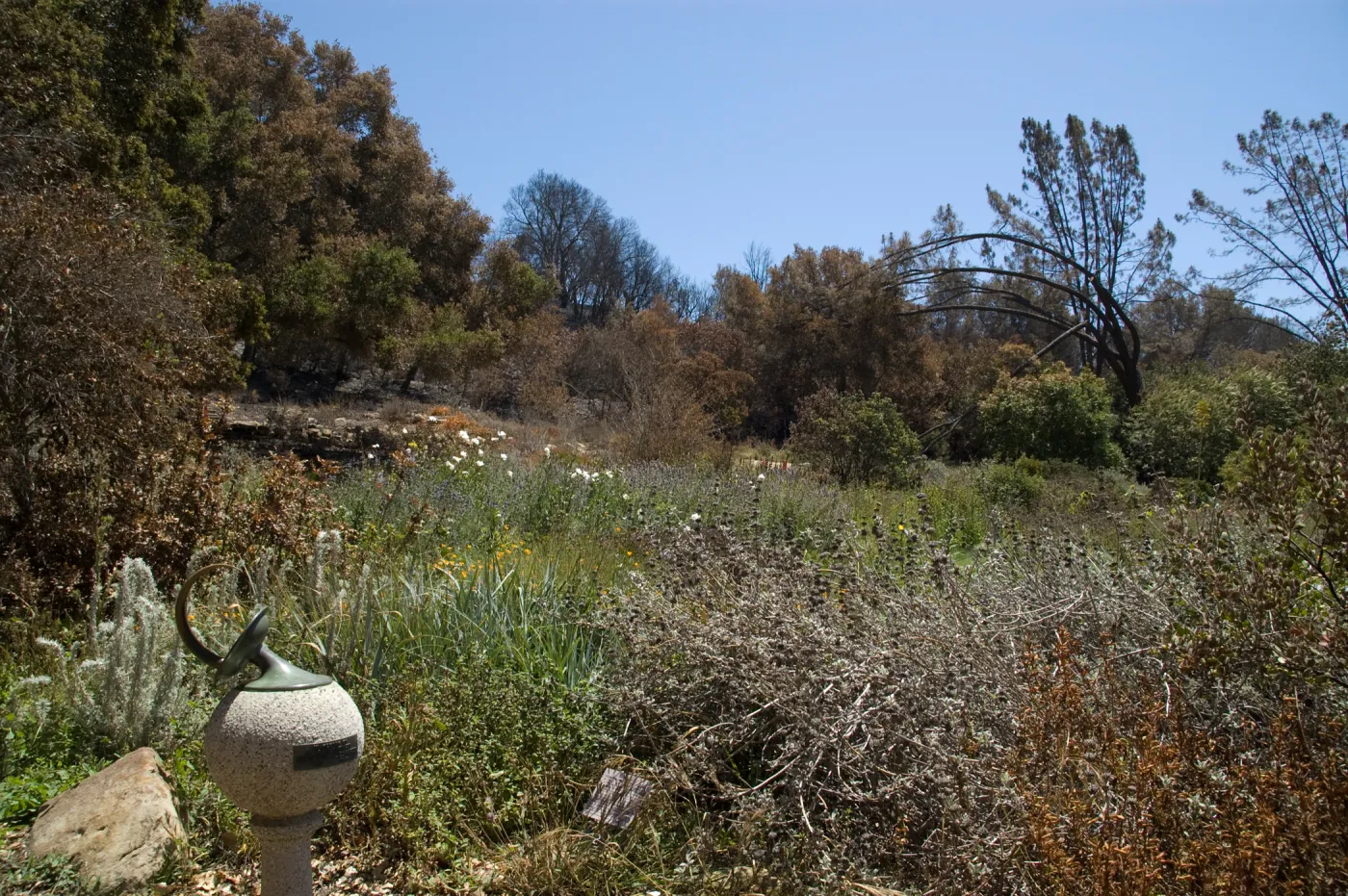 Sundial and Upper Meadow and Meadow View after the Jesusita Fire