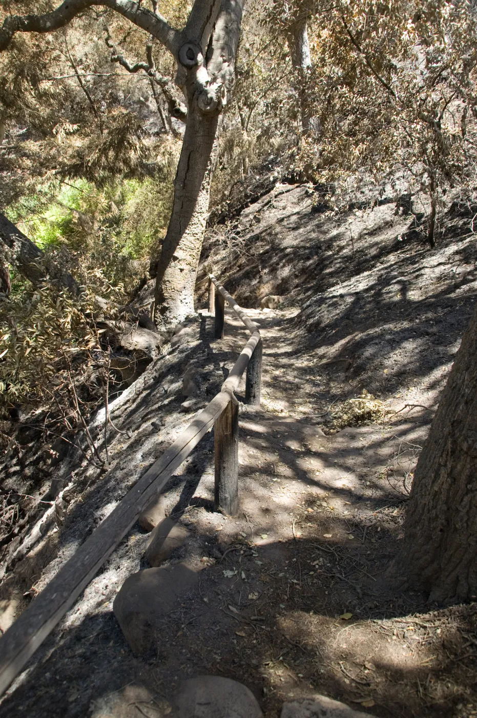 top of trail to Indian Steps after the Jesusita Fire